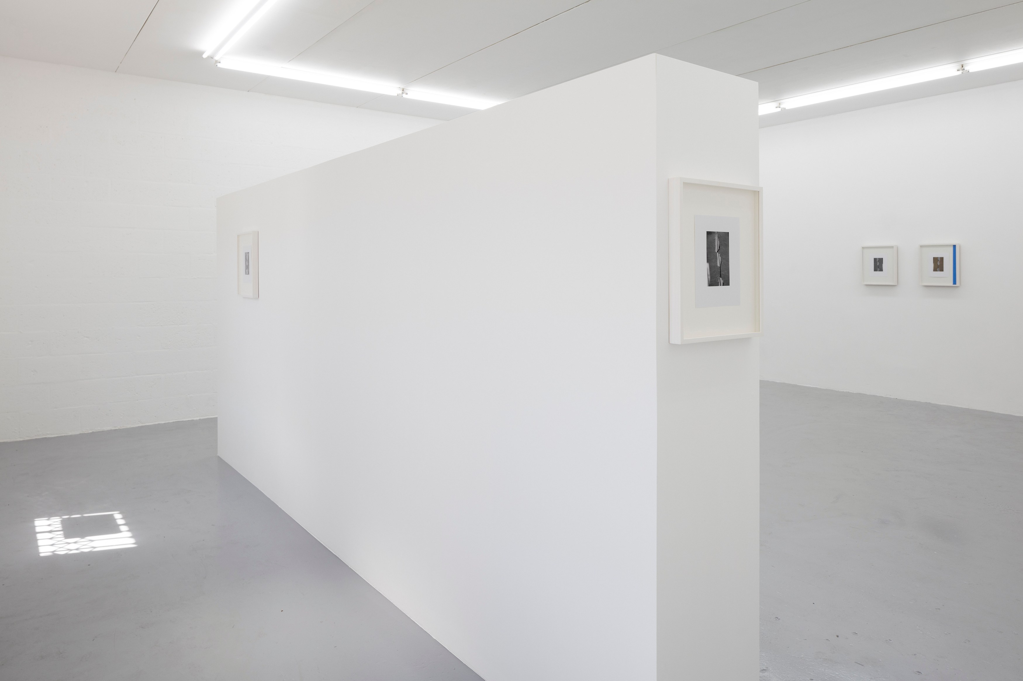 Megan Plunkett, I Bet You Wish You Did and I Know I Do at Emalin, photo 2