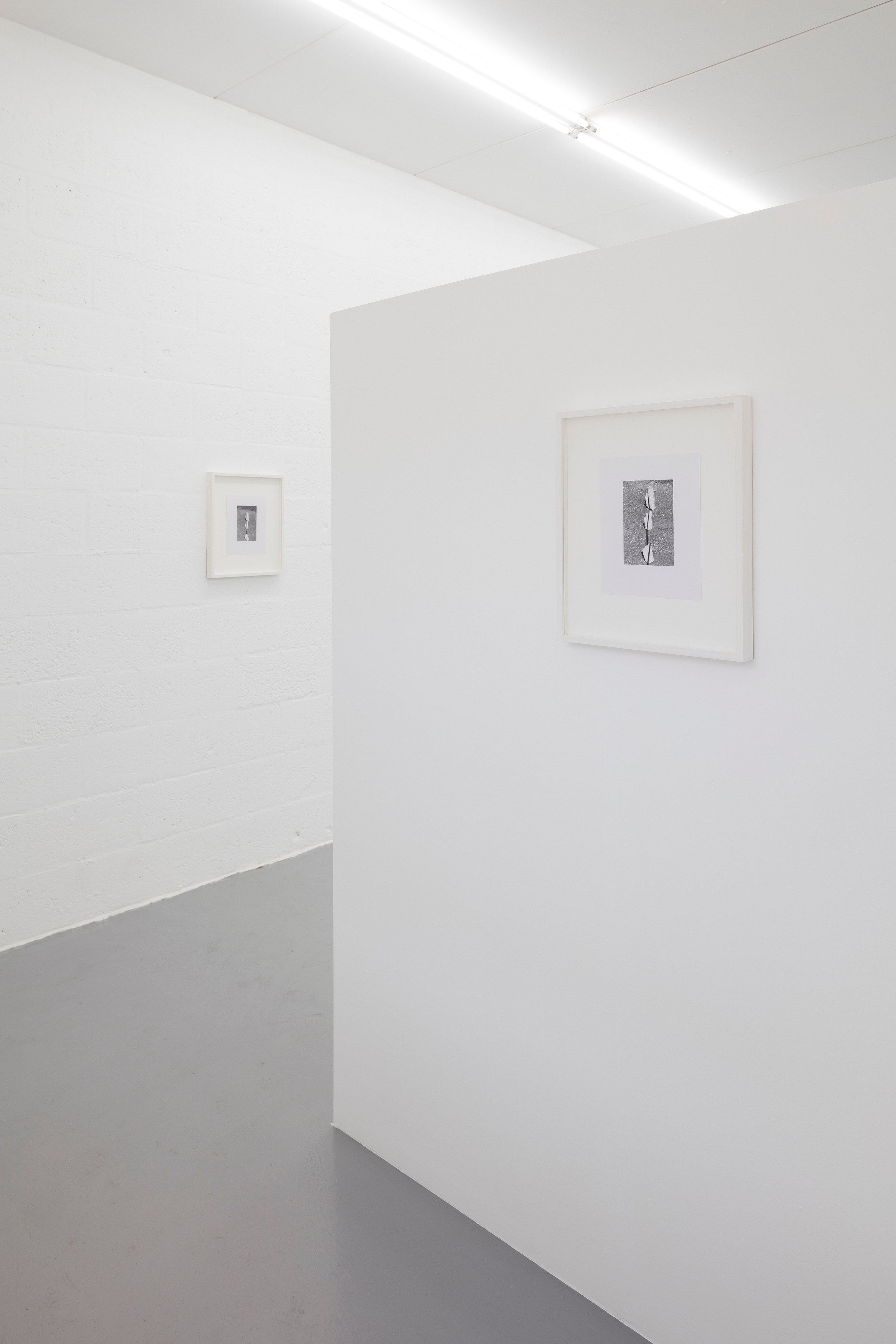 Megan Plunkett, I Bet You Wish You Did and I Know I Do at Emalin, photo 3