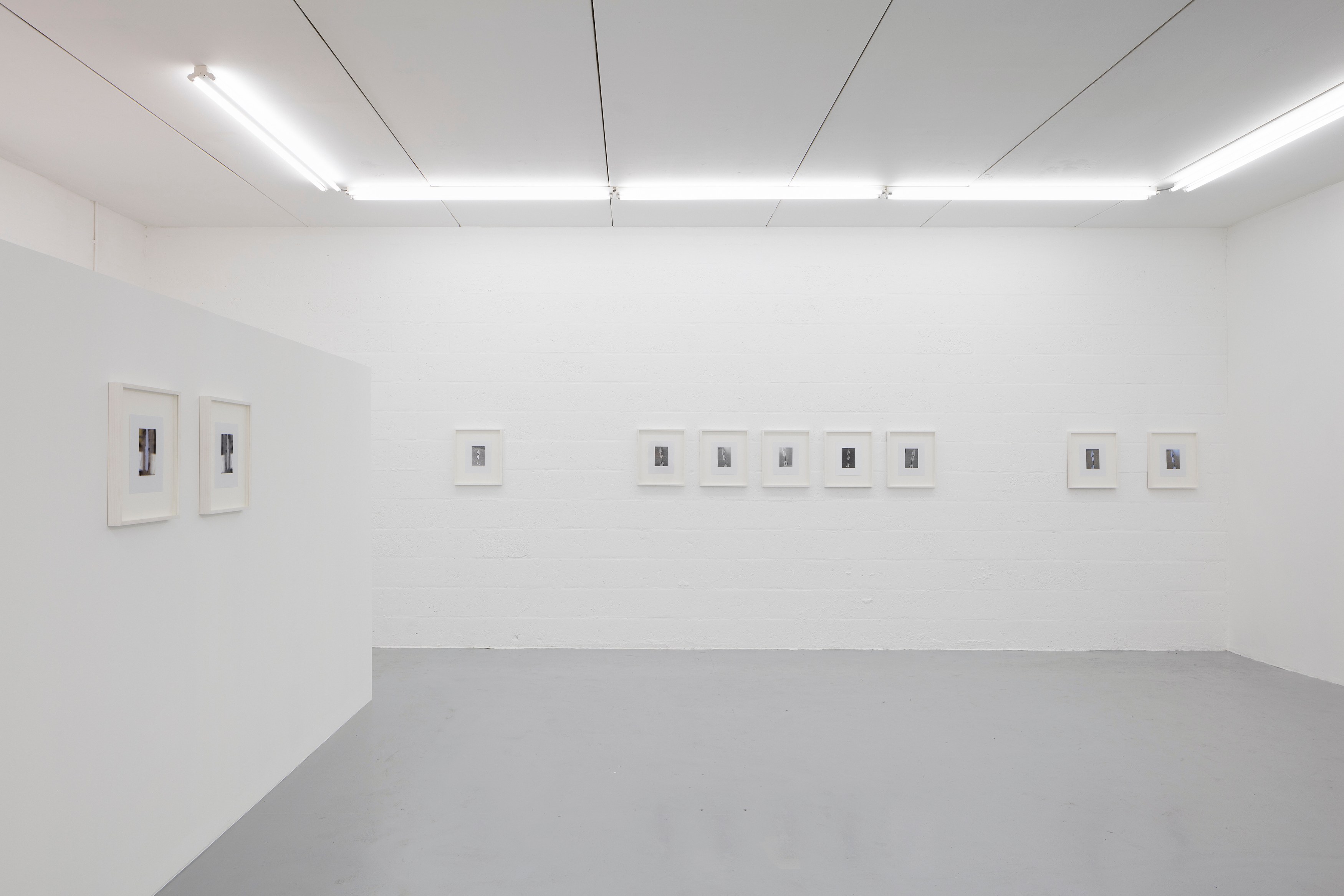 Megan Plunkett, I Bet You Wish You Did and I Know I Do at Emalin, photo 7