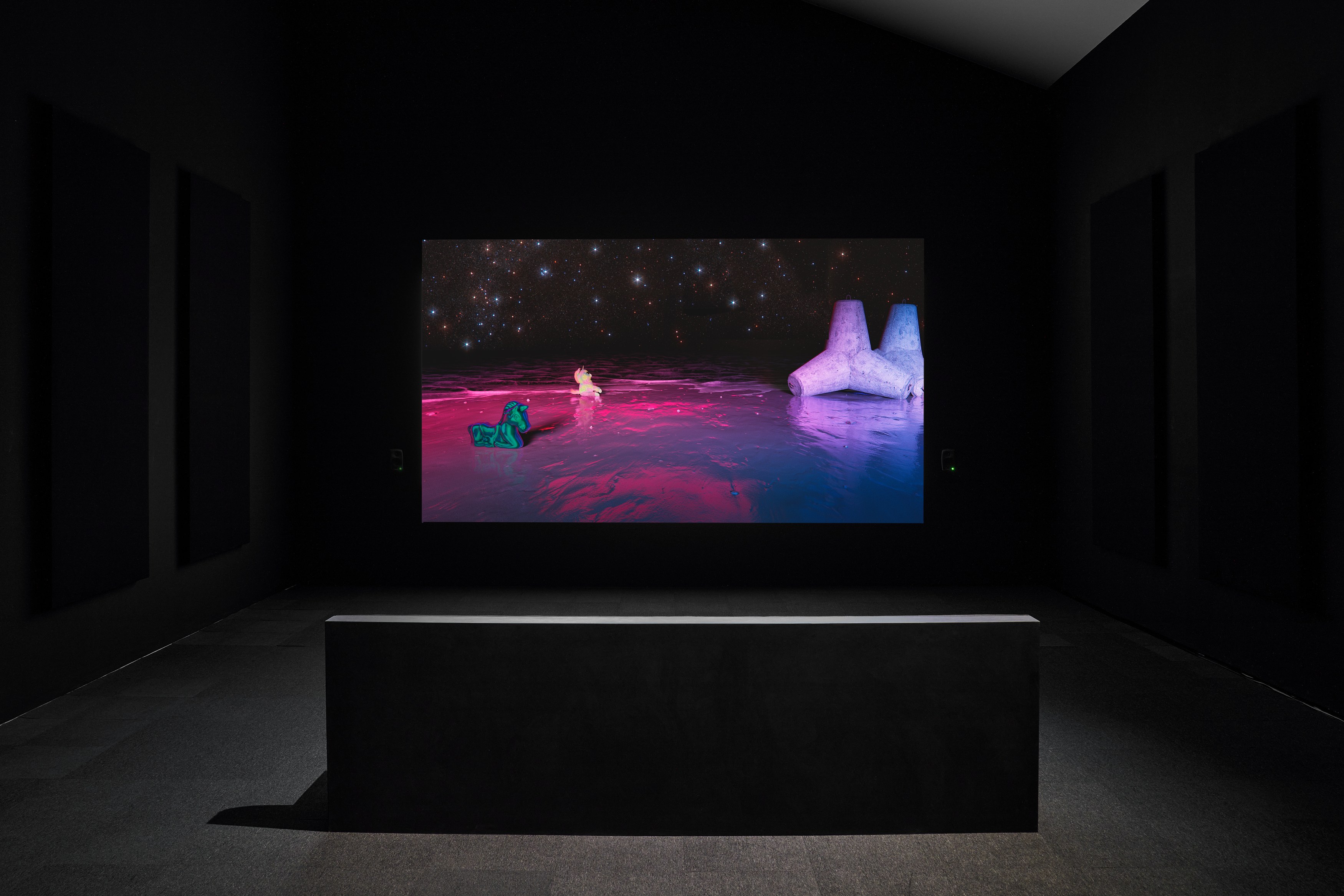 Mark Leckey, As Above So Below at Lafayette Anticipations, photo 20