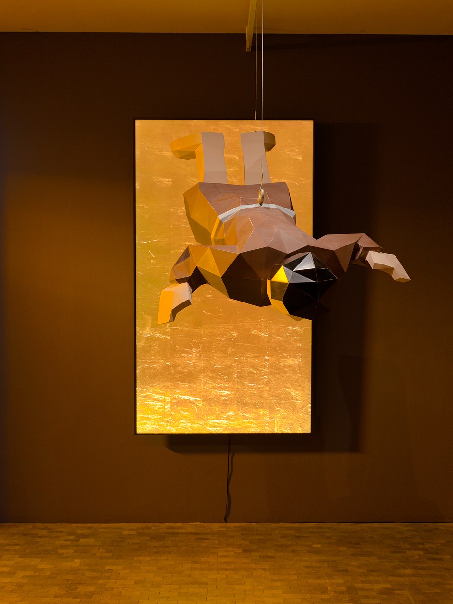 Mark Leckey, As Above So Below at Lafayette Anticipations, photo 4