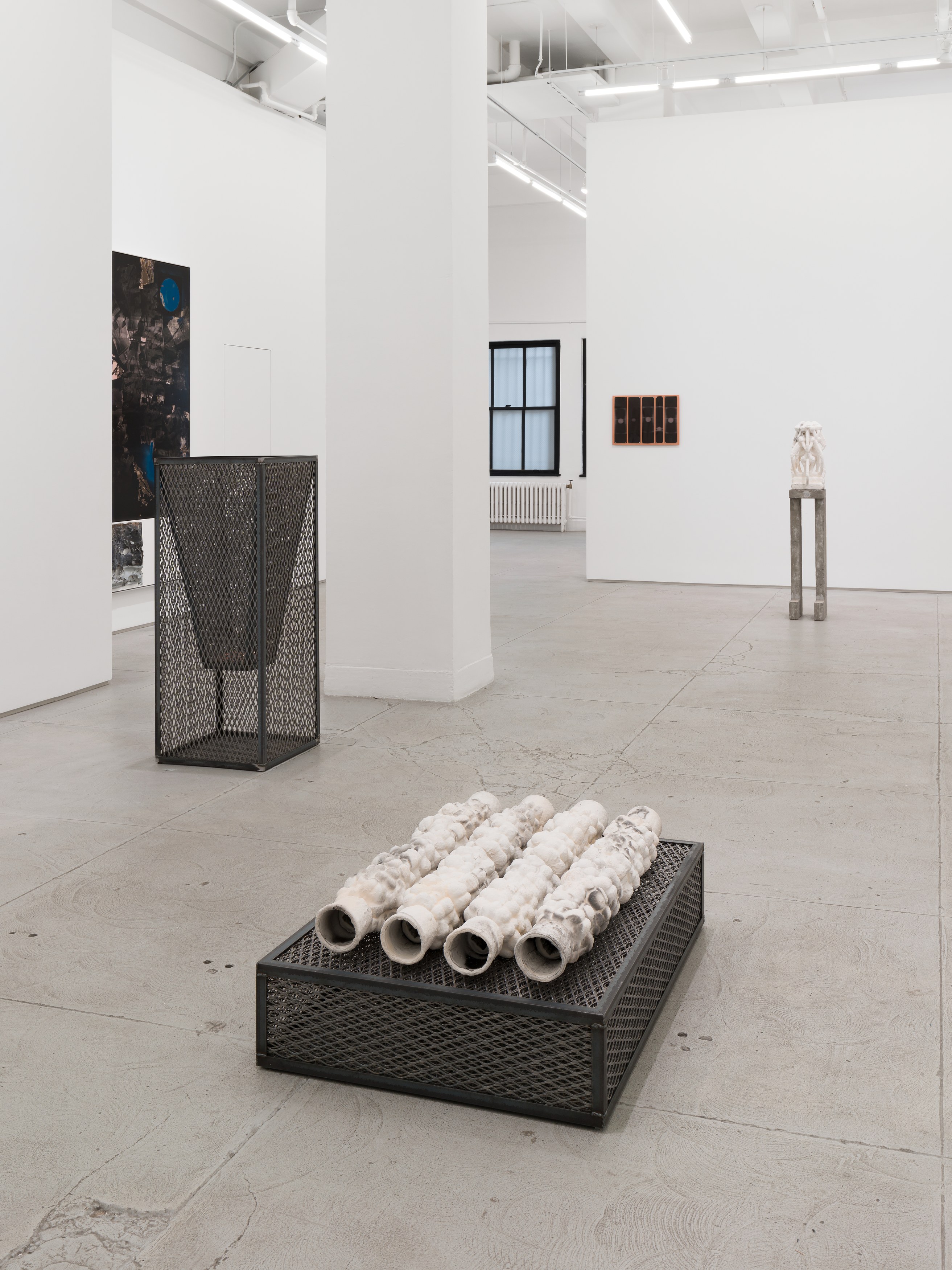 Antonia Kuo, Milk of the Earth at Chapter NY, photo 13