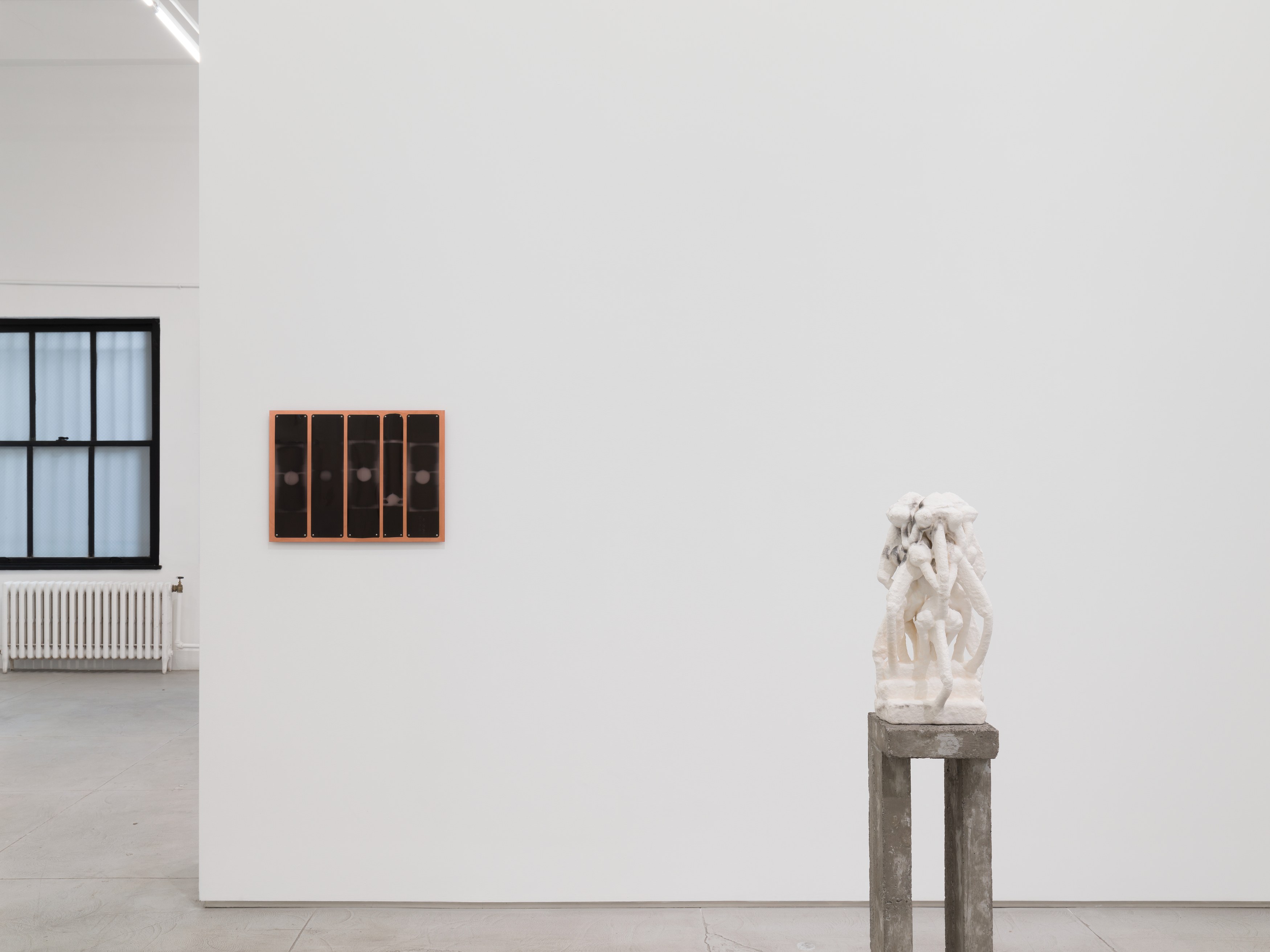 Antonia Kuo, Milk of the Earth at Chapter NY, photo 15