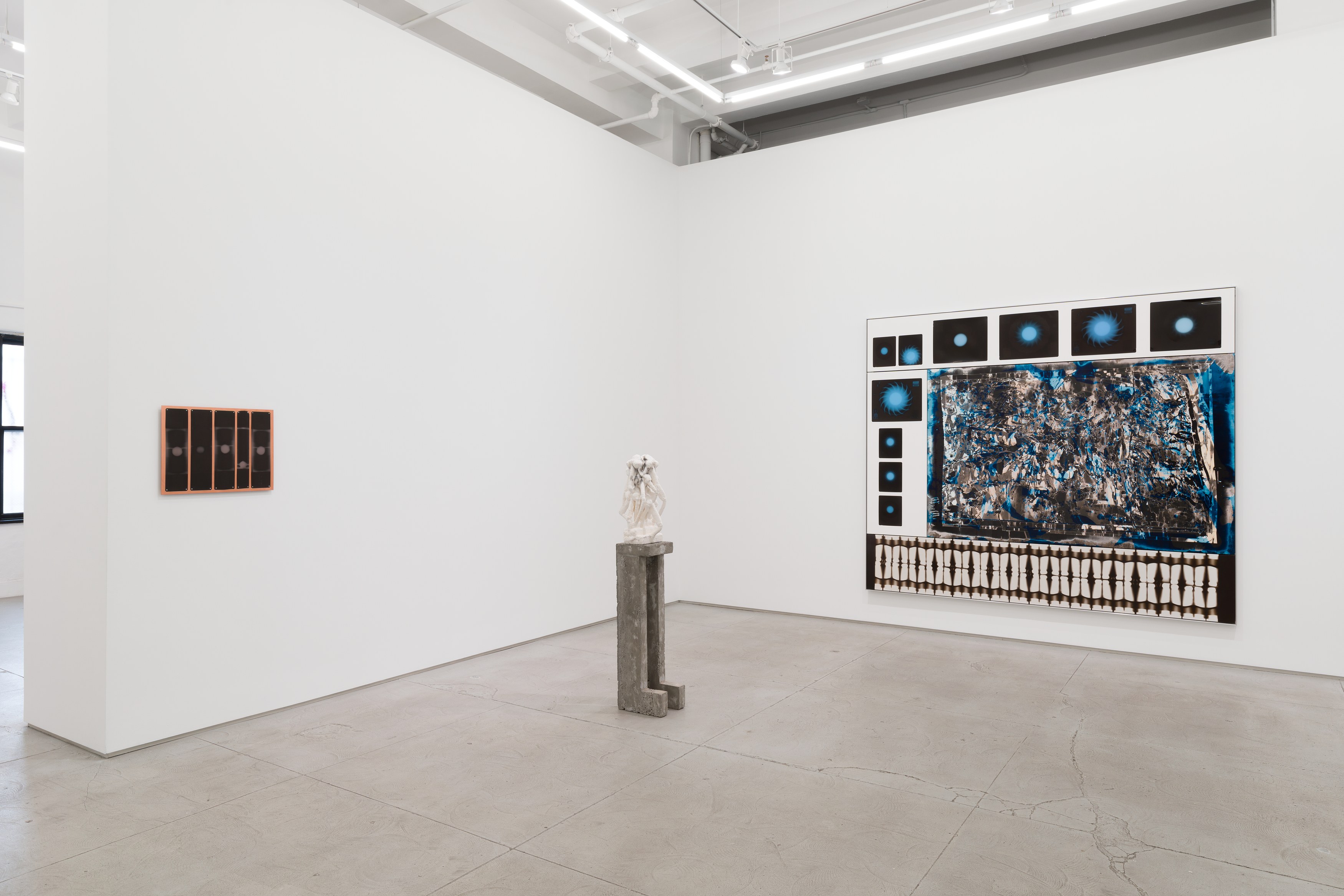 Antonia Kuo, Milk of the Earth at Chapter NY, photo 18