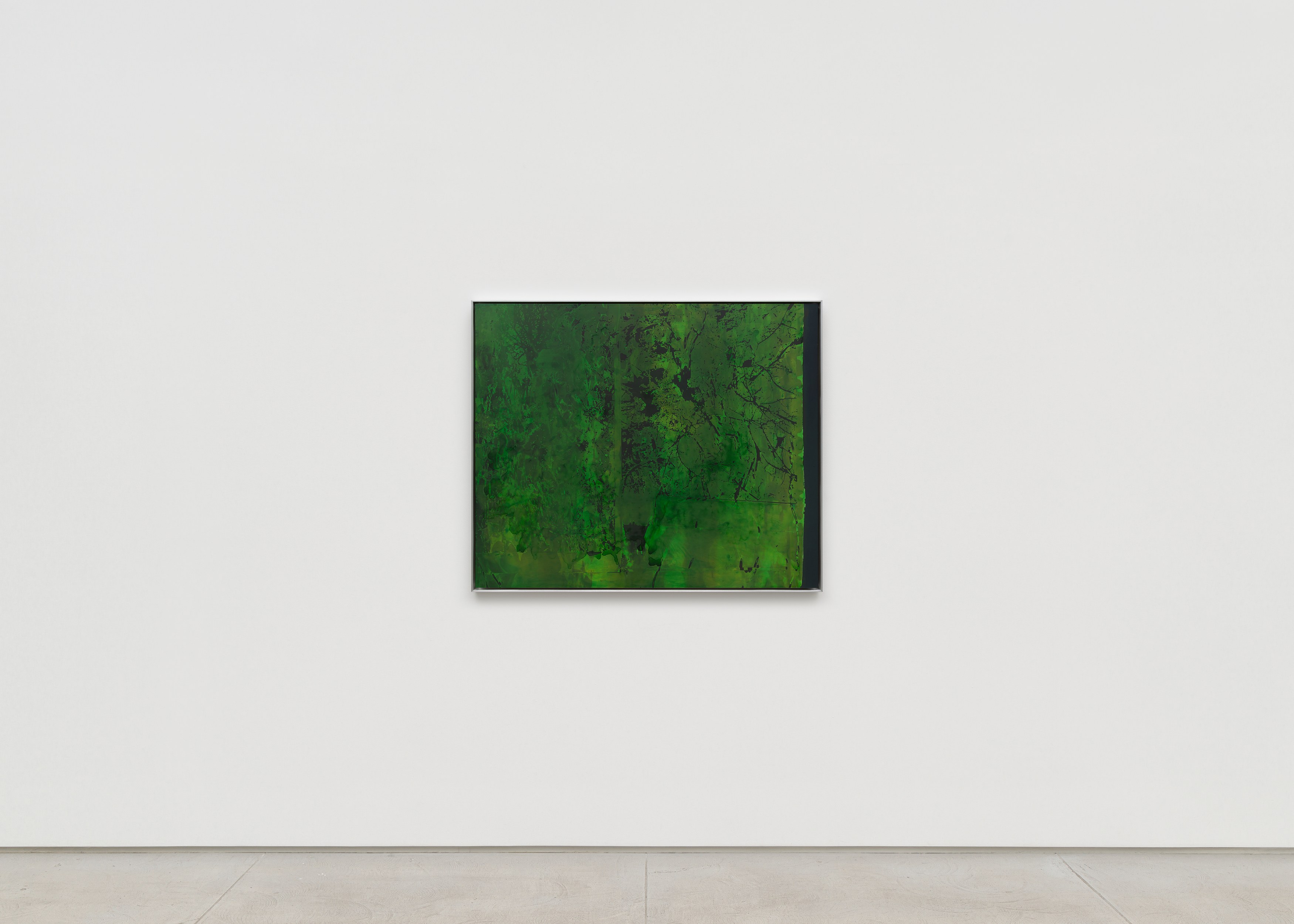 Antonia Kuo, Milk of the Earth at Chapter NY, photo 23