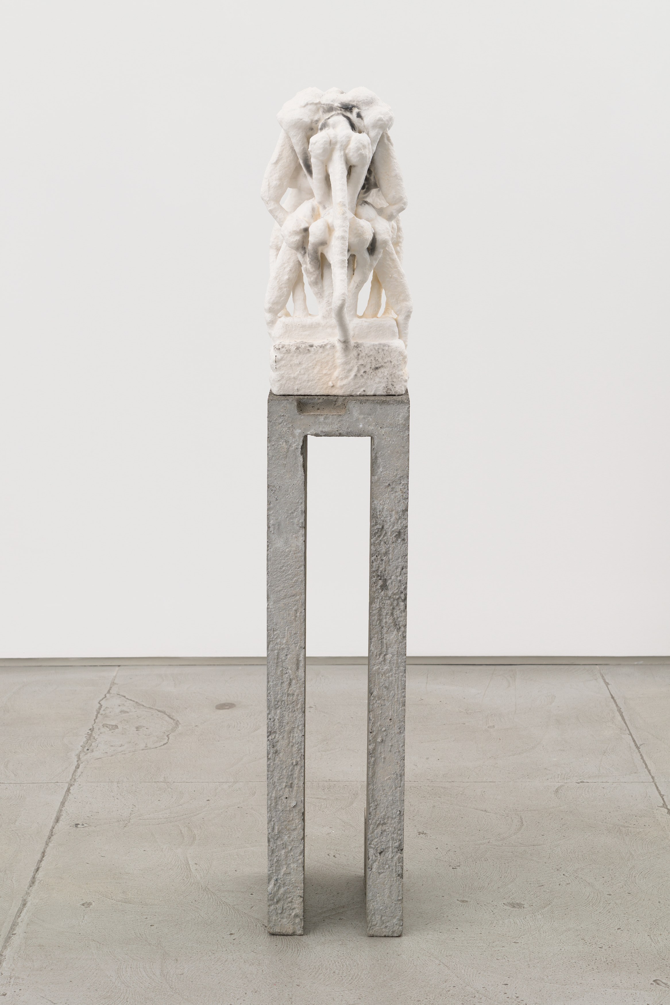 Antonia Kuo, Milk of the Earth at Chapter NY, photo 49