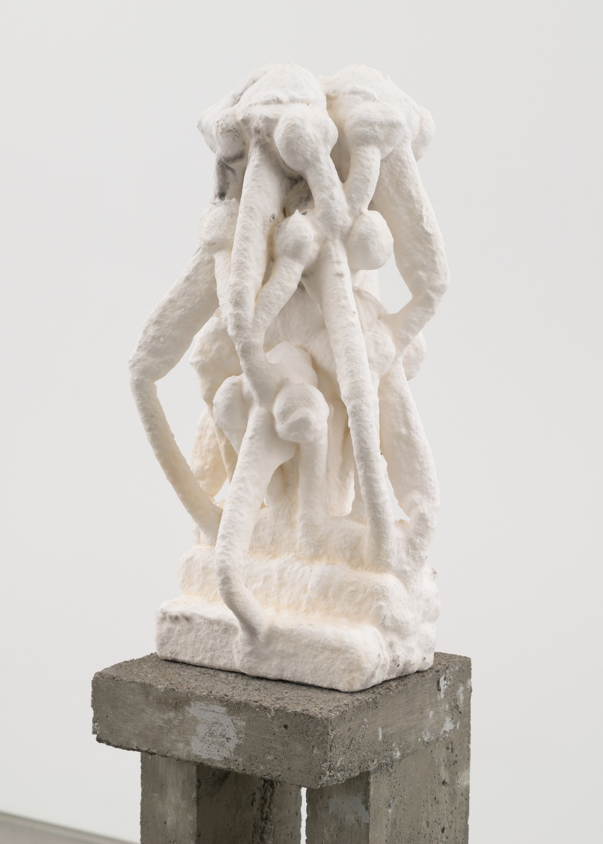 Antonia Kuo, Milk of the Earth at Chapter NY, photo 50