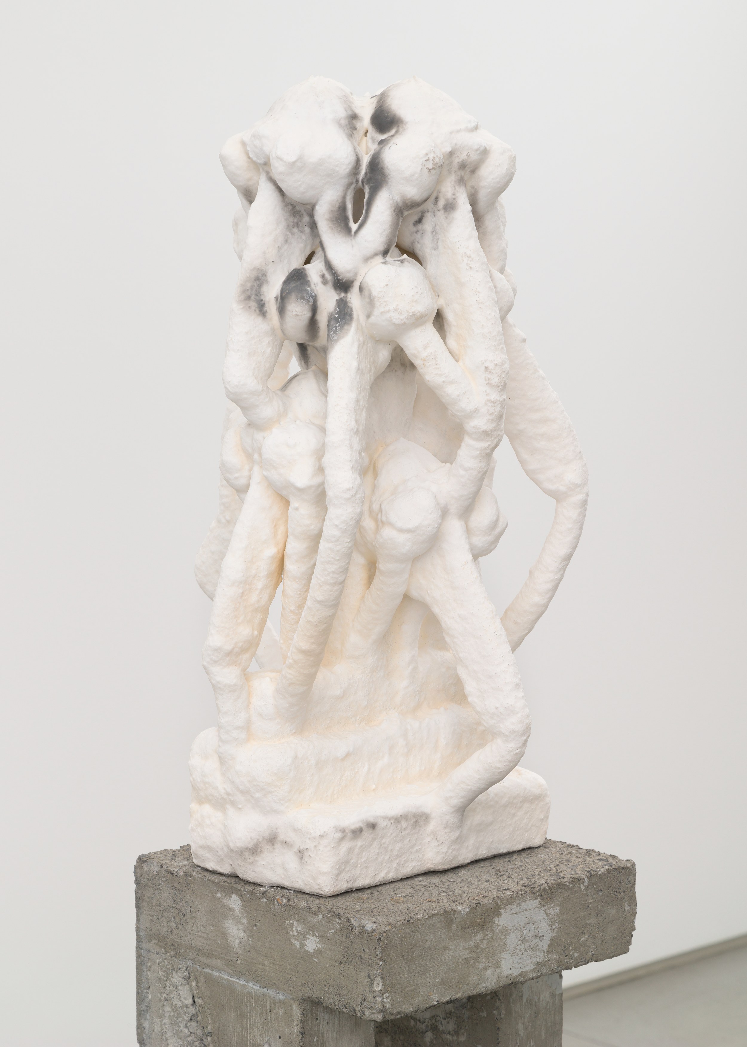 Antonia Kuo, Milk of the Earth at Chapter NY, photo 51