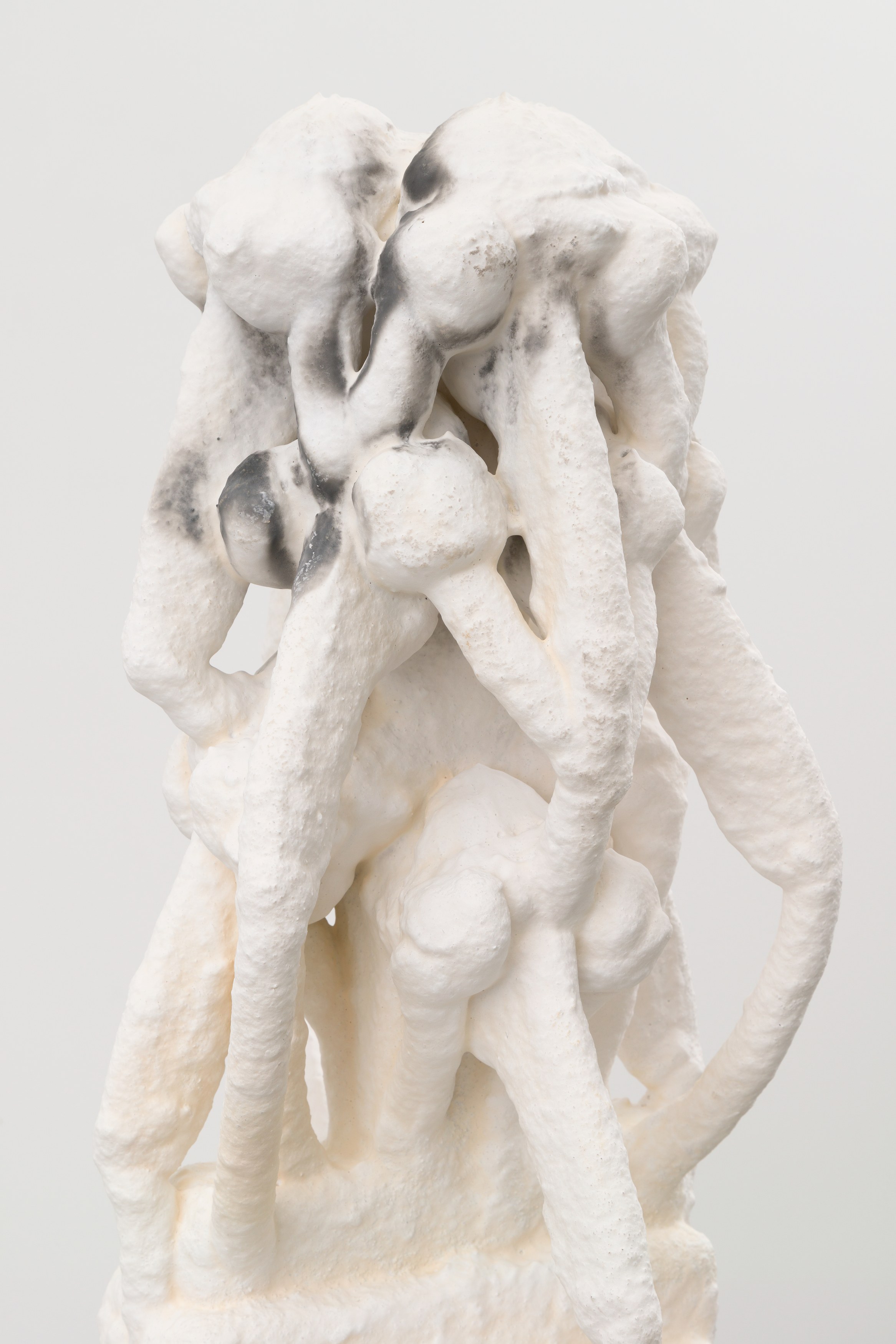 Antonia Kuo, Milk of the Earth at Chapter NY, photo 52