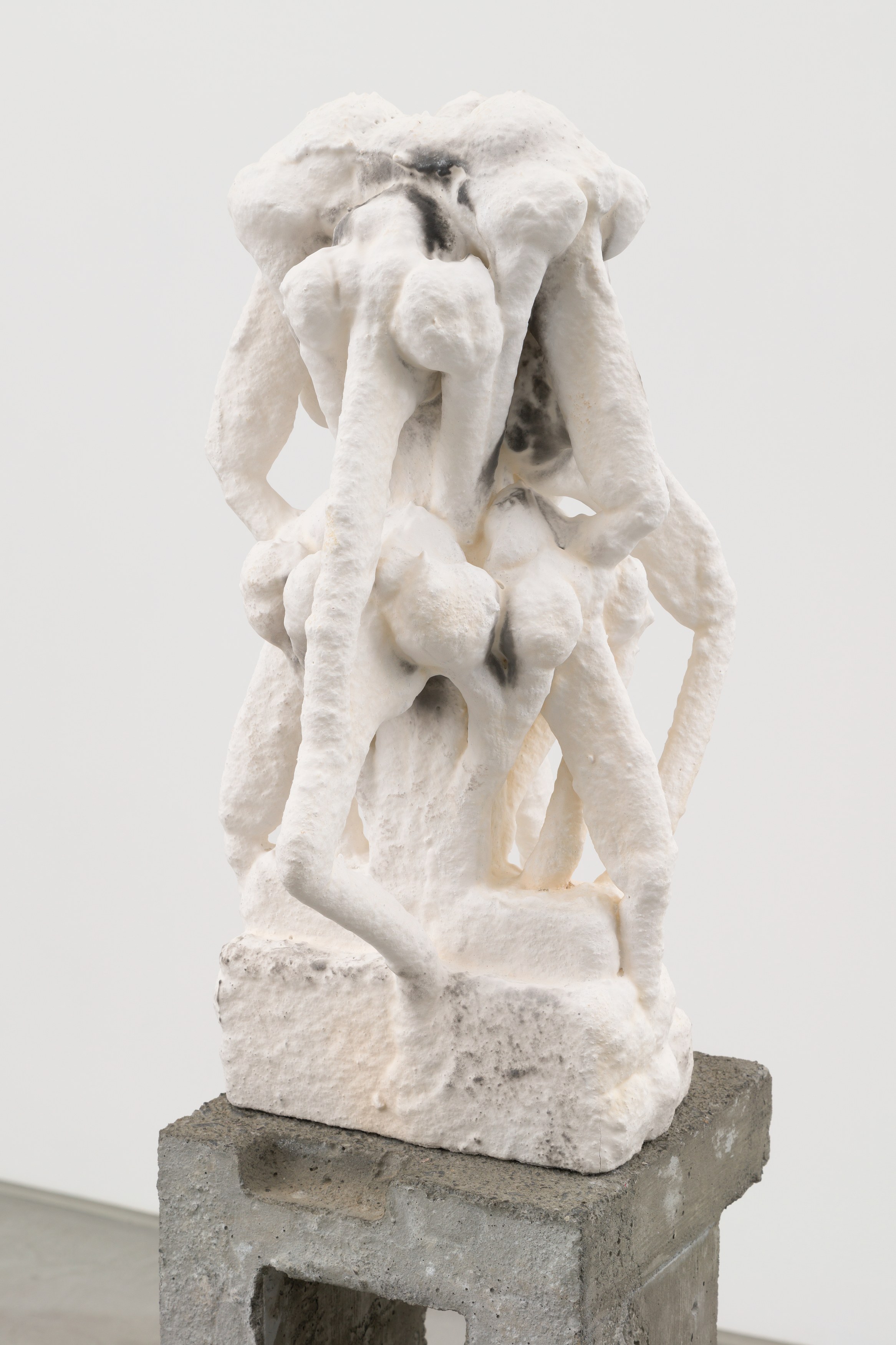 Antonia Kuo, Milk of the Earth at Chapter NY, photo 54