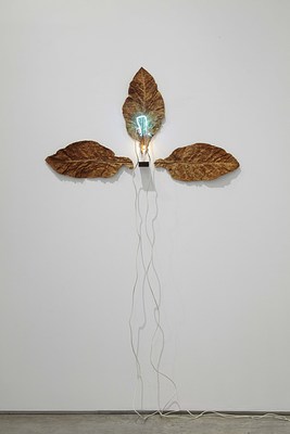 Image 10 of 22