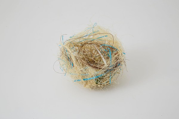 Image 17 of 22