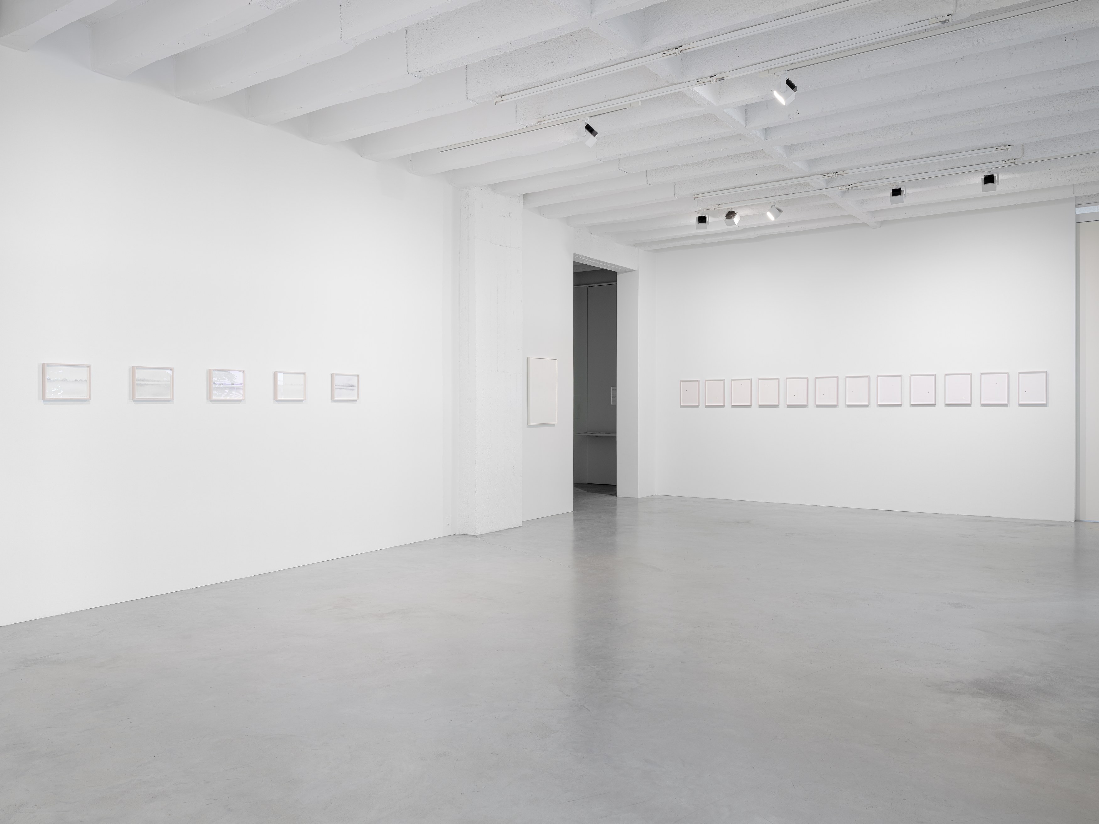Spencer Finch, Decoy at Galerie Nordenhake, photo 3