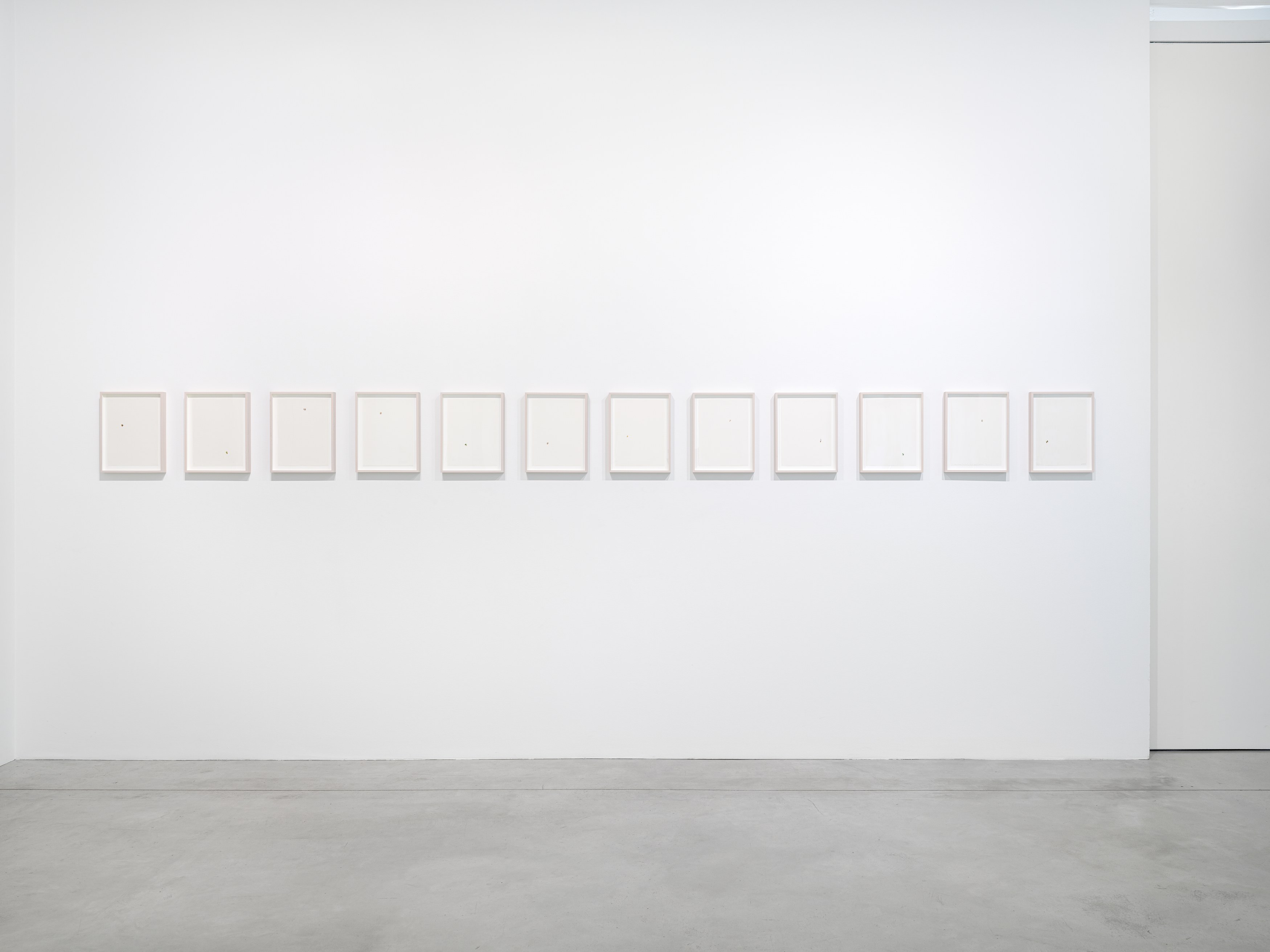Spencer Finch, Decoy at Galerie Nordenhake, photo 4