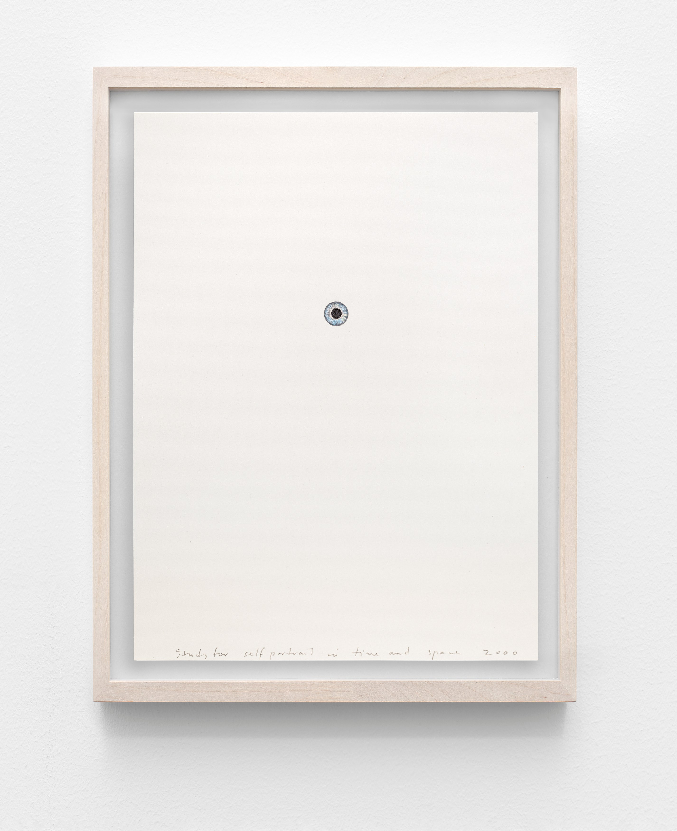 Spencer Finch, Decoy at Galerie Nordenhake, photo 11