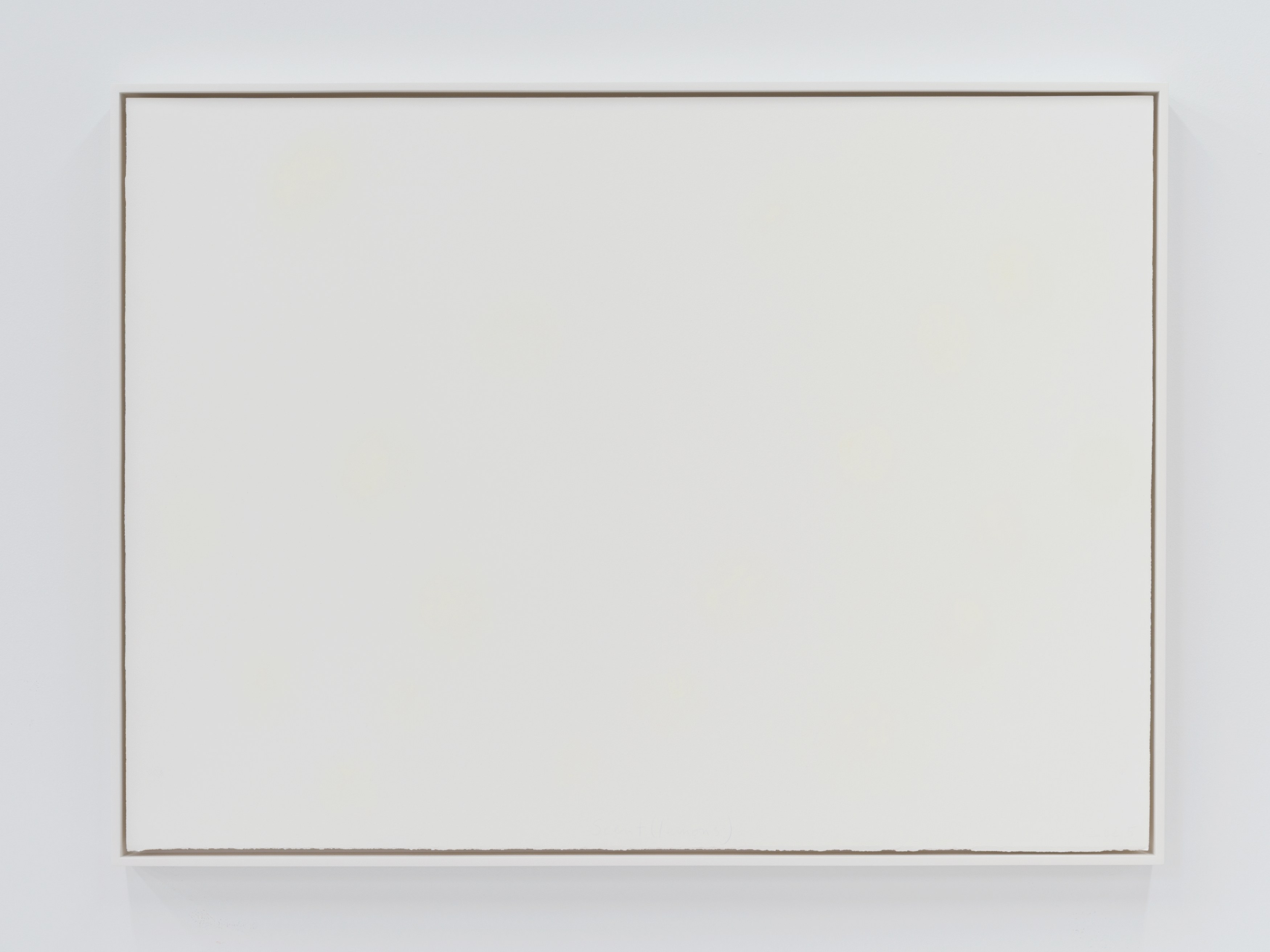 Spencer Finch, Decoy at Galerie Nordenhake, photo 24