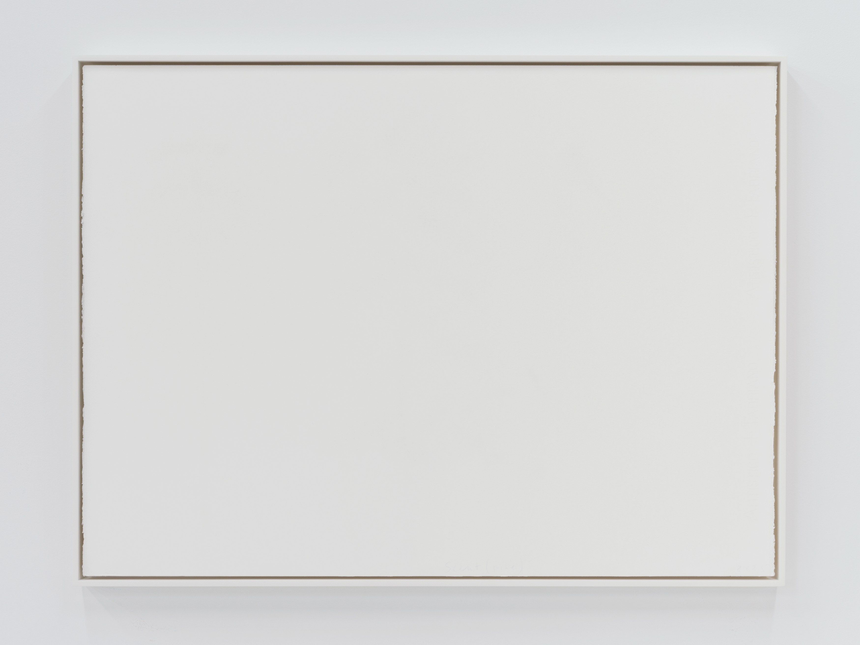 Spencer Finch, Decoy at Galerie Nordenhake, photo 26