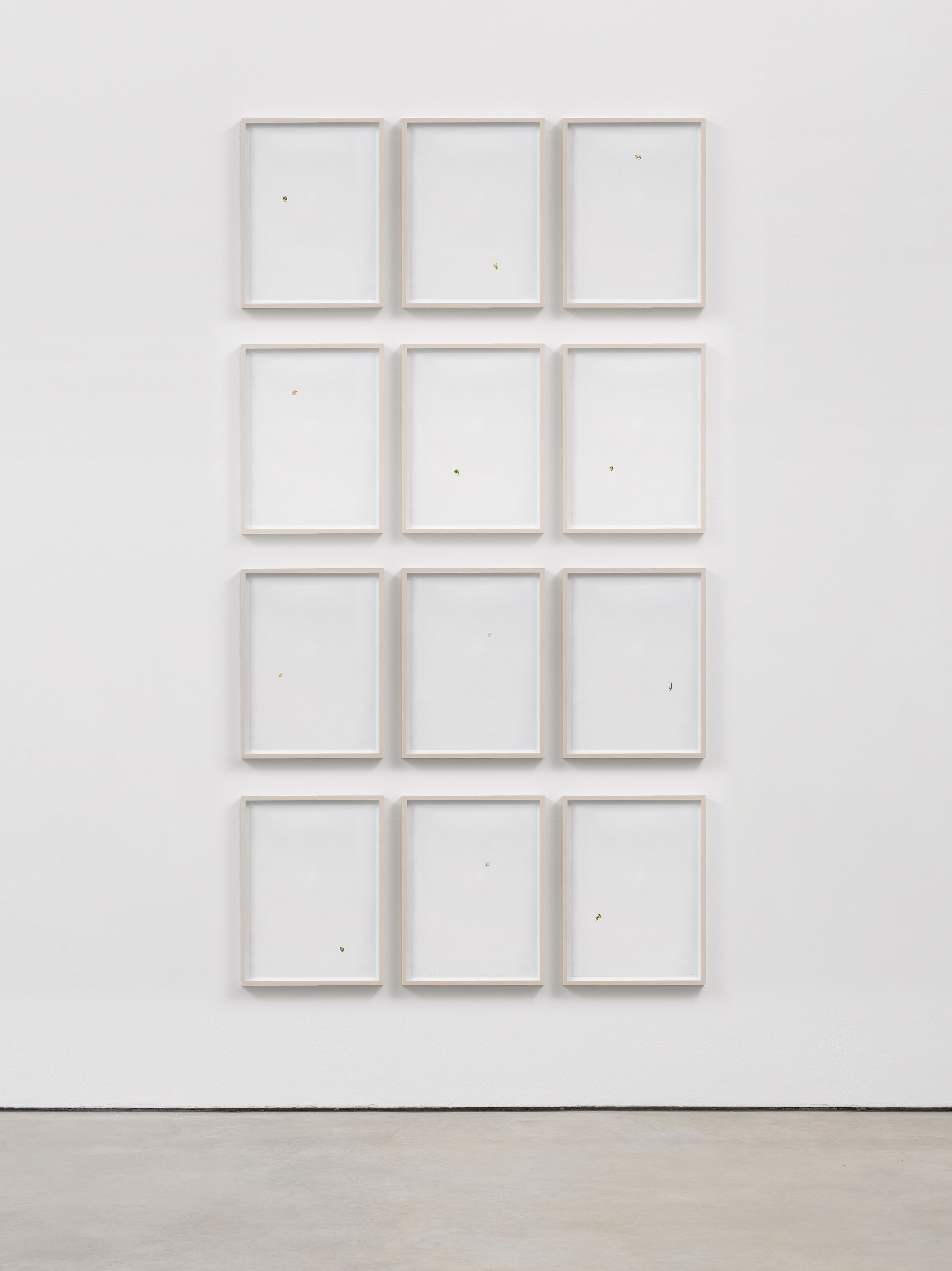 Spencer Finch, Decoy at Galerie Nordenhake, photo 17