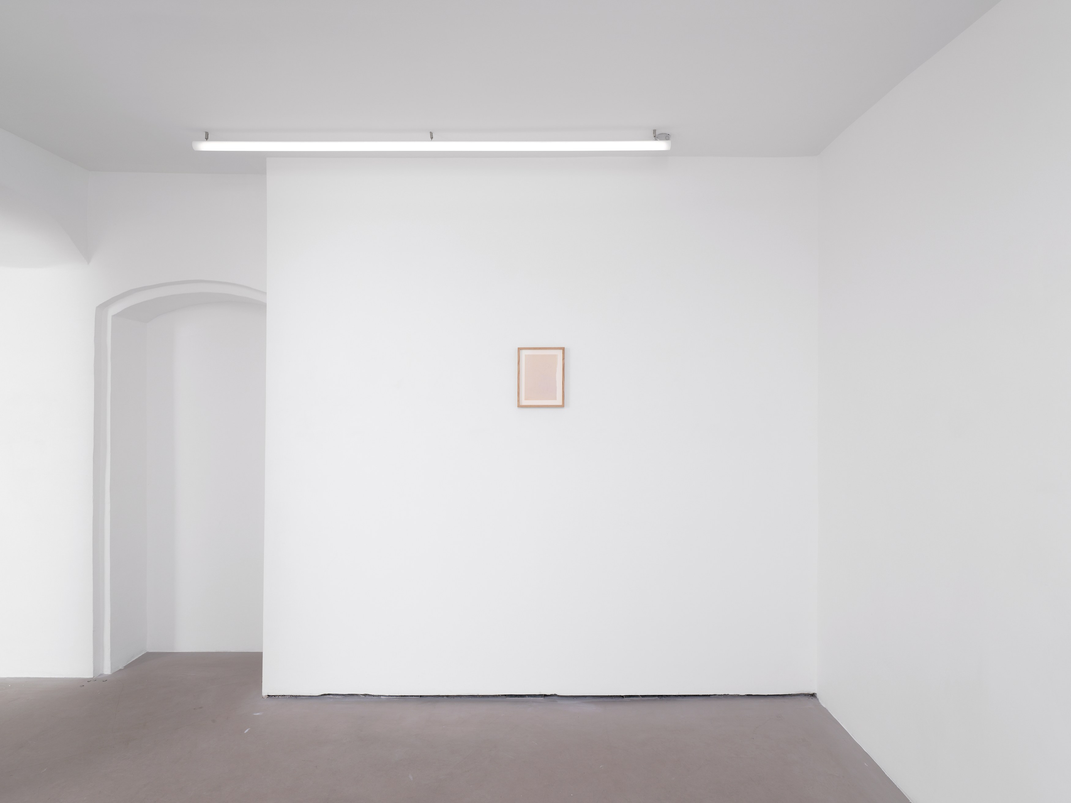 Antonio López, Trotter at Galerie Balice Hertling, photo 2