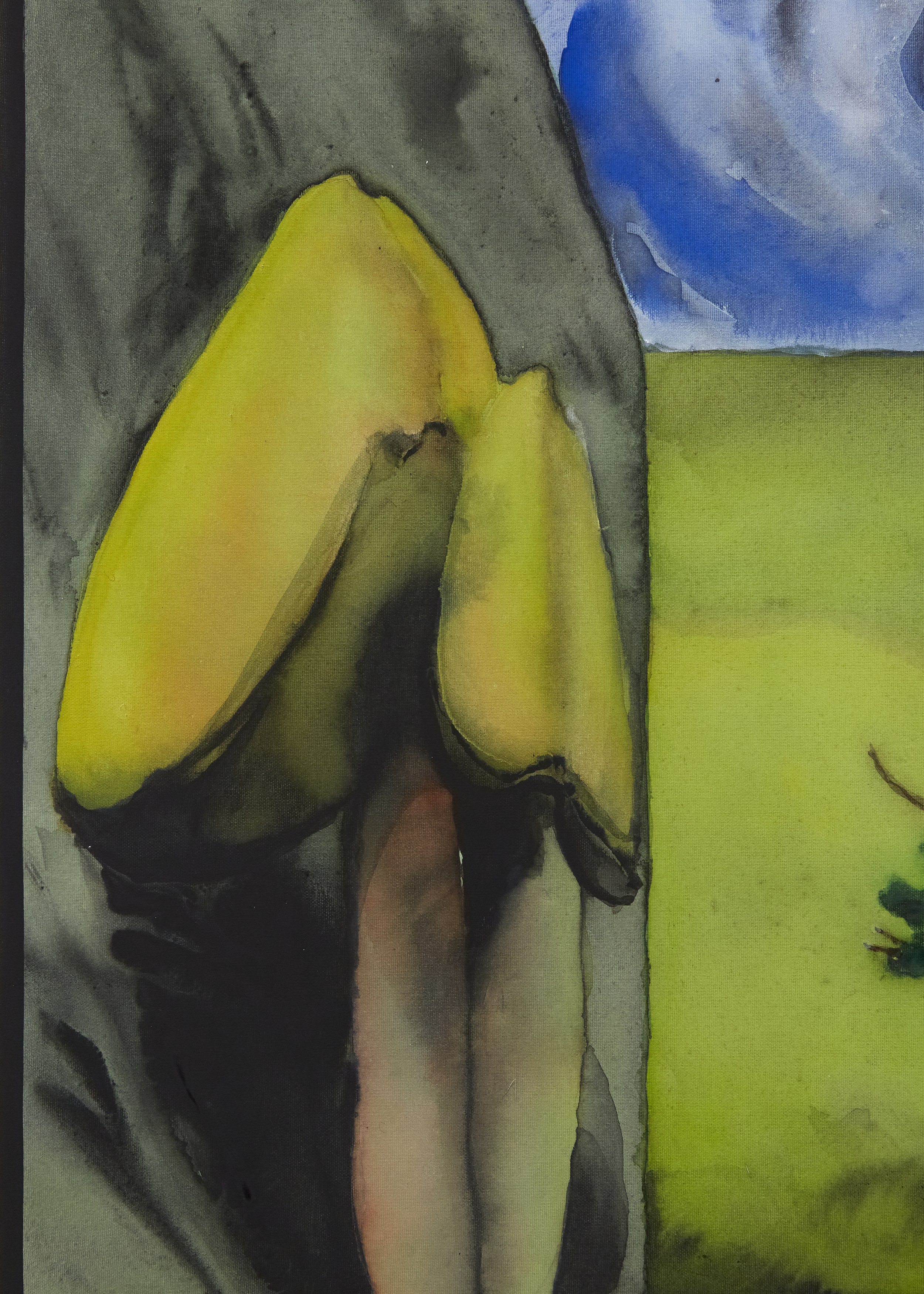 Judith Dean, image 19 of 51