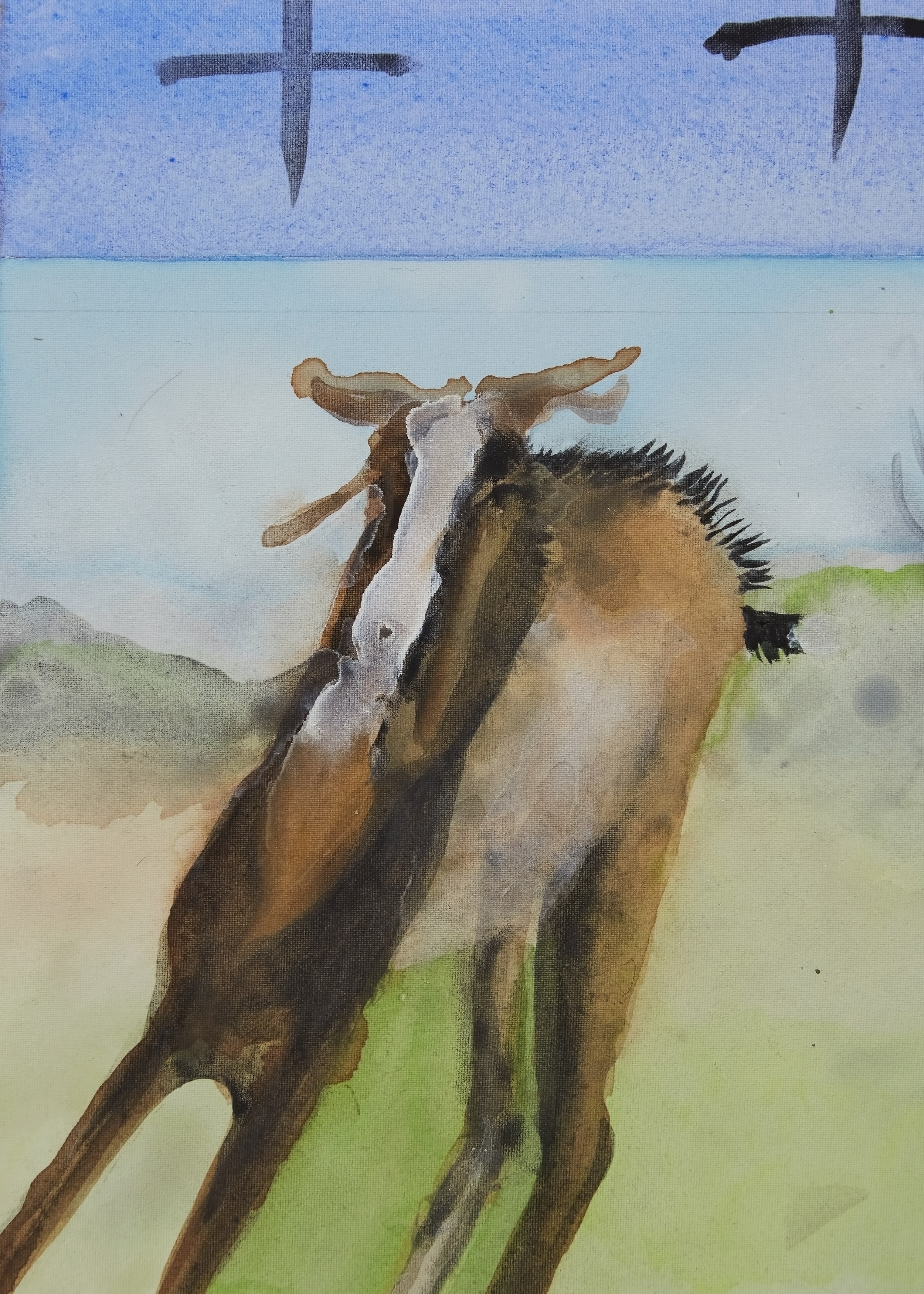 Judith Dean, image 32 of 51
