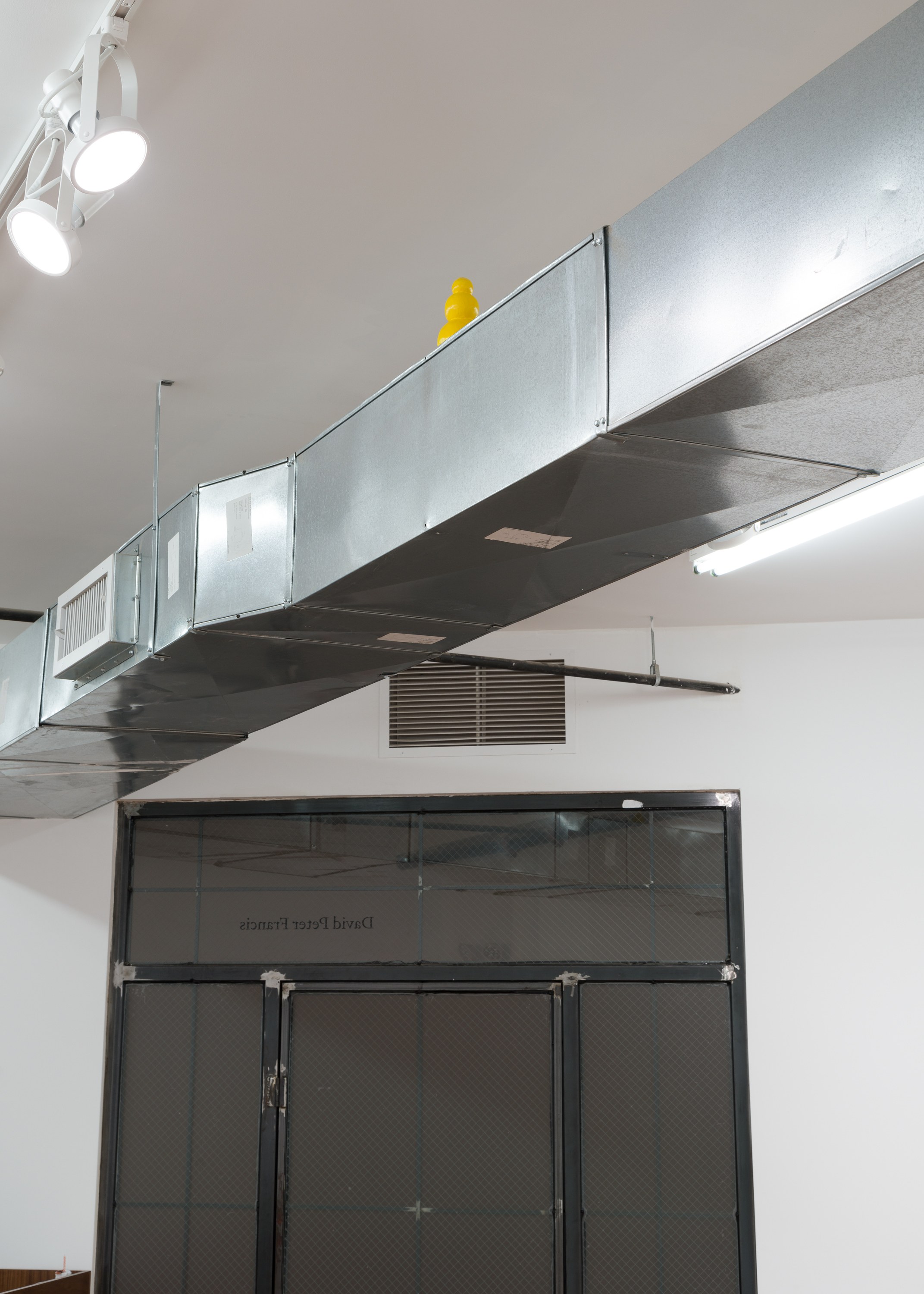 Emilie Louise Gossiaux, Dogs Who Run in Dreams at David Peter Francis, photo 37