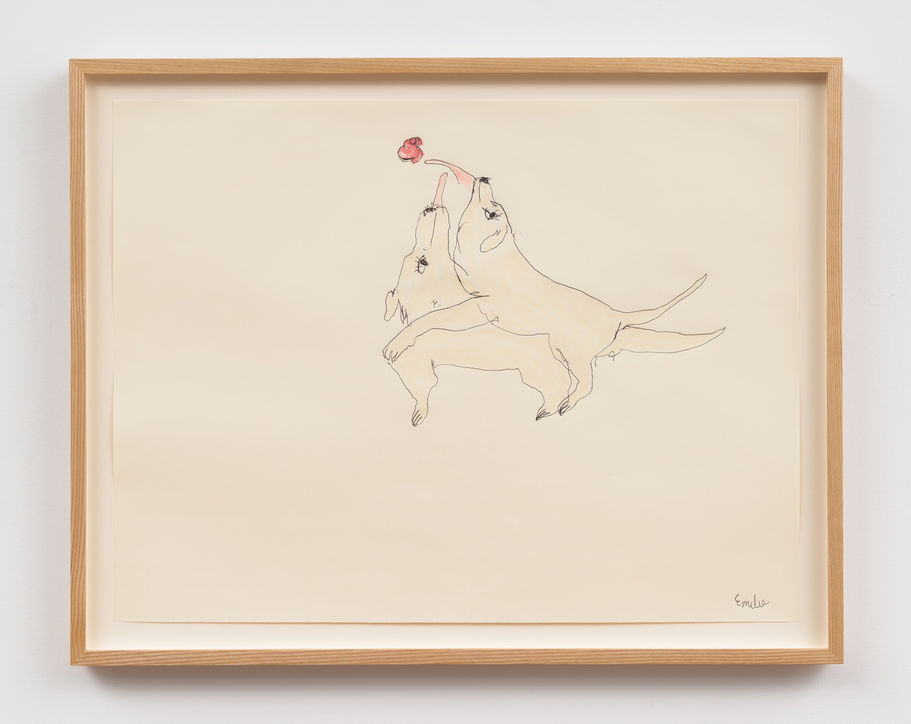 Emilie Louise Gossiaux, Dogs Who Run in Dreams at David Peter Francis, photo 38