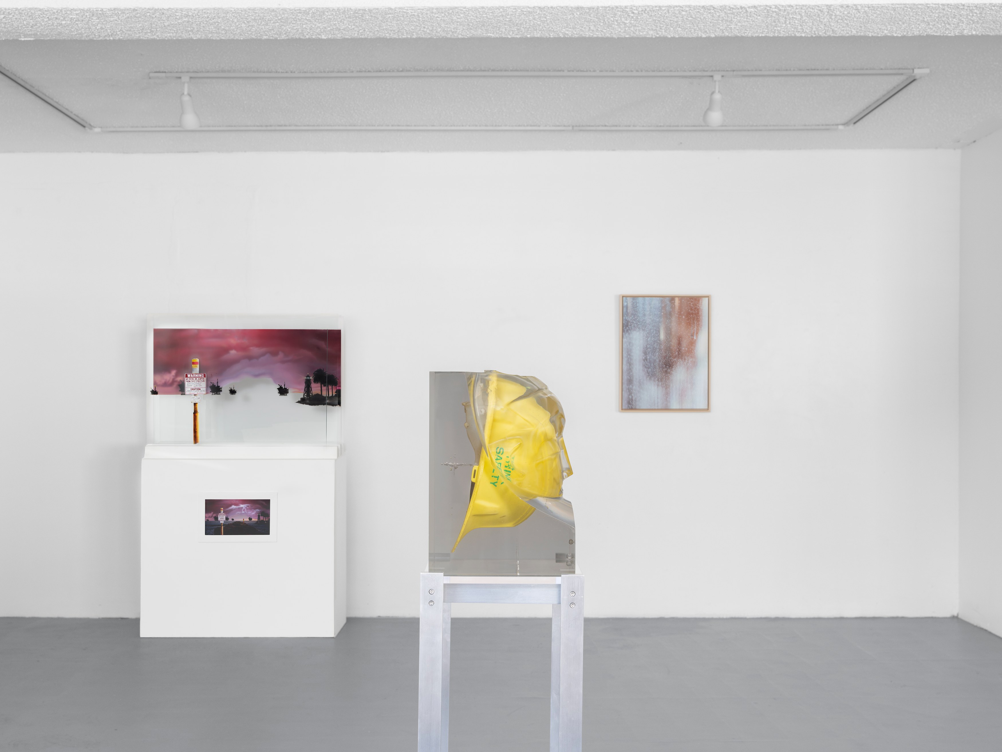 Matthew Angelo Harrison, Kandis Williams, Jessica Wilson, Diaphane at Soldes, photo 3