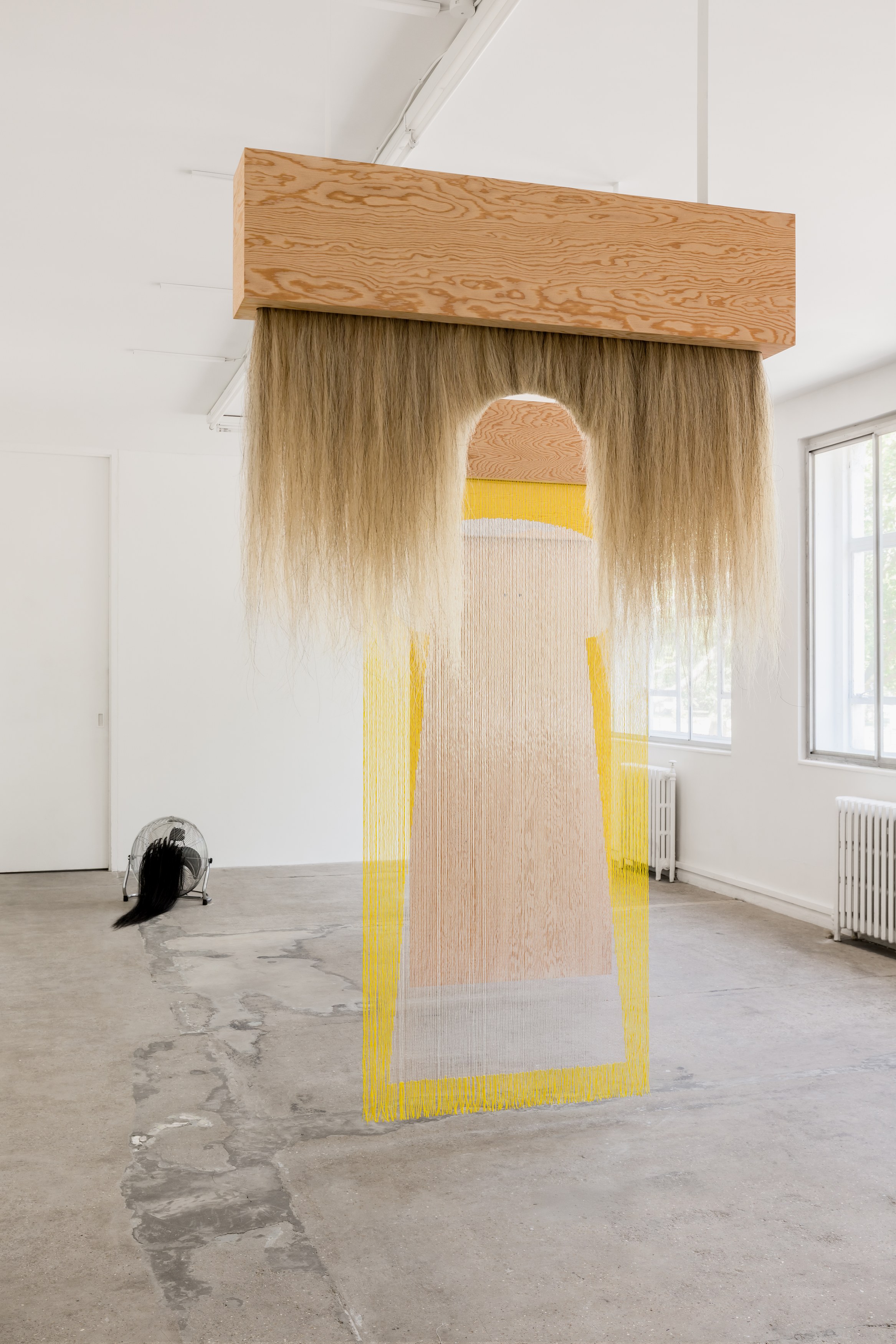 Amanda Moström, Douglas at Rose Easton, photo 5