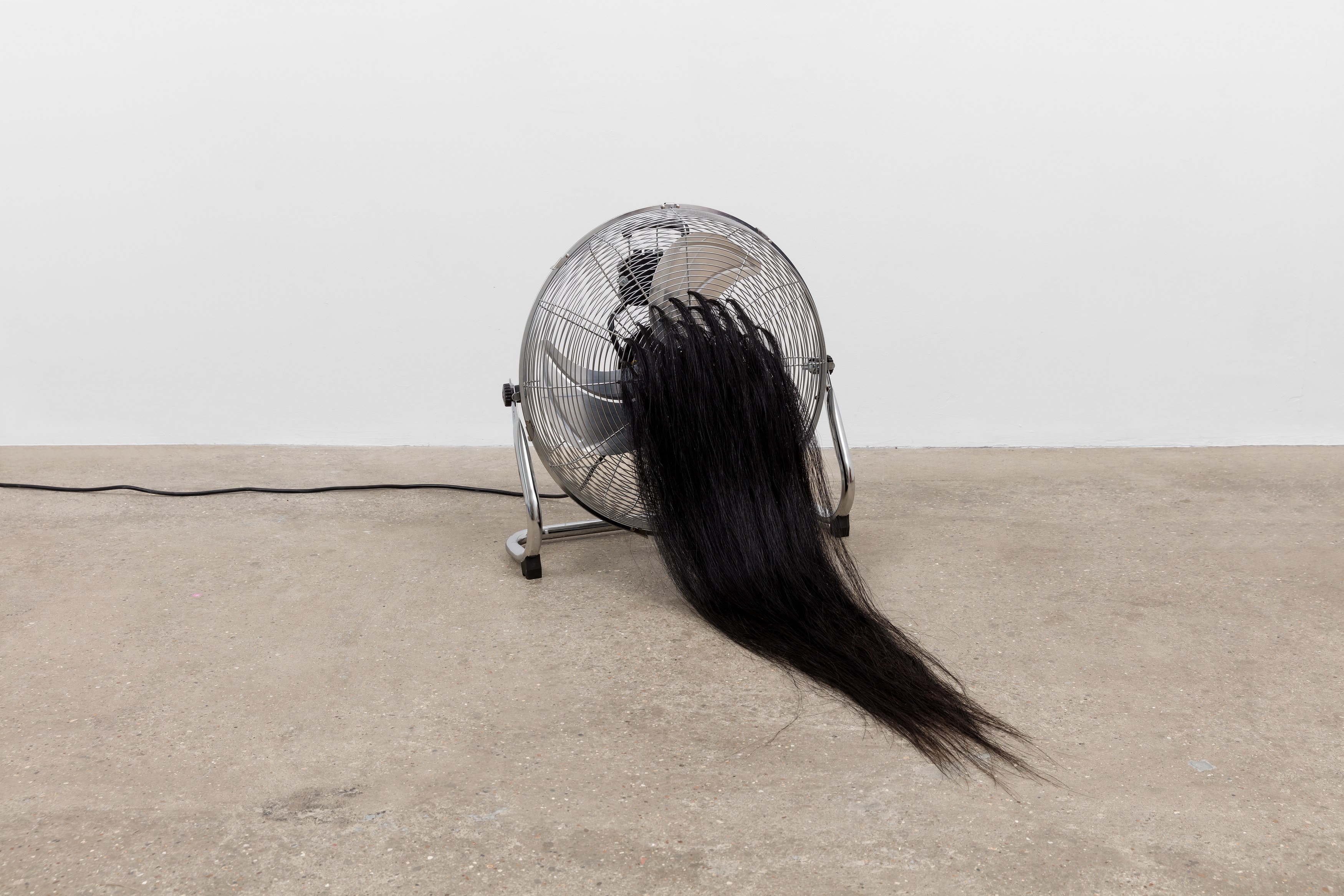 Amanda Moström, Douglas at Rose Easton, photo 26
