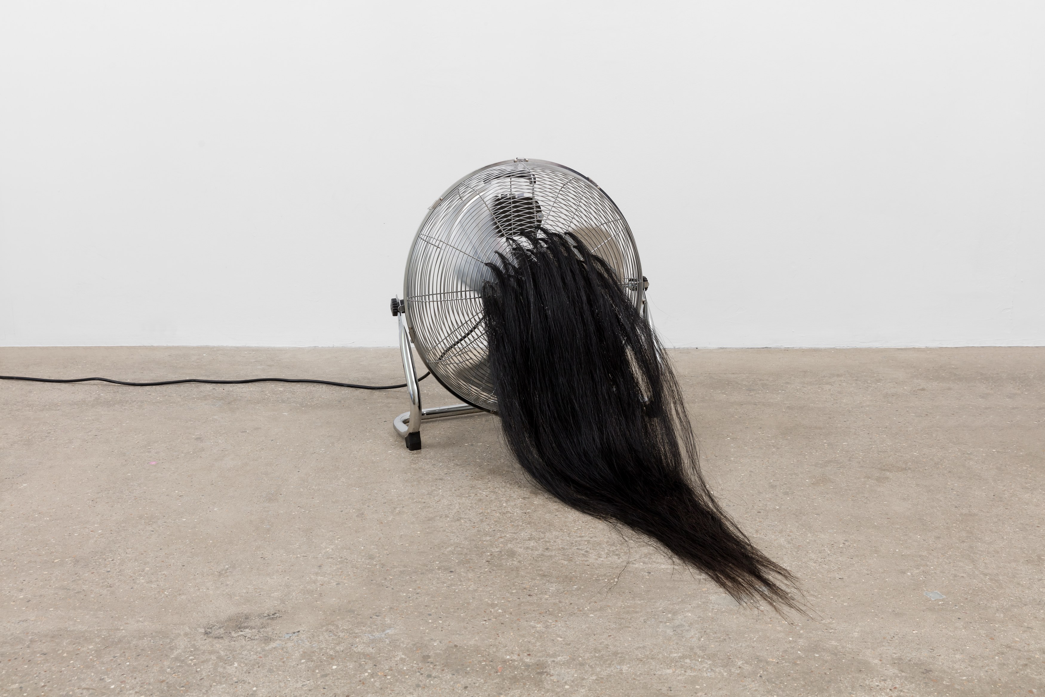 Amanda Moström, Douglas at Rose Easton, photo 27