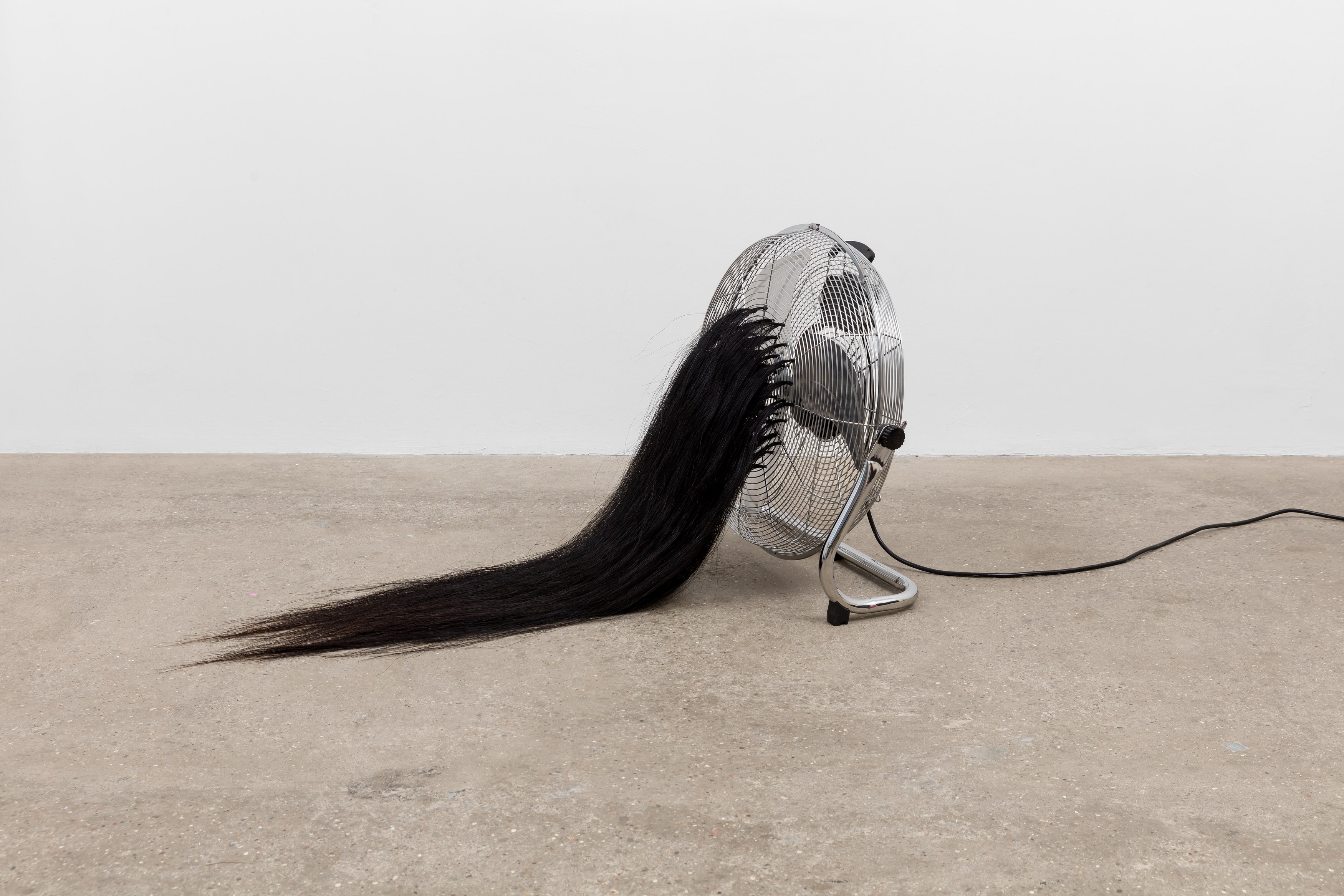 Amanda Moström, Douglas at Rose Easton, photo 29