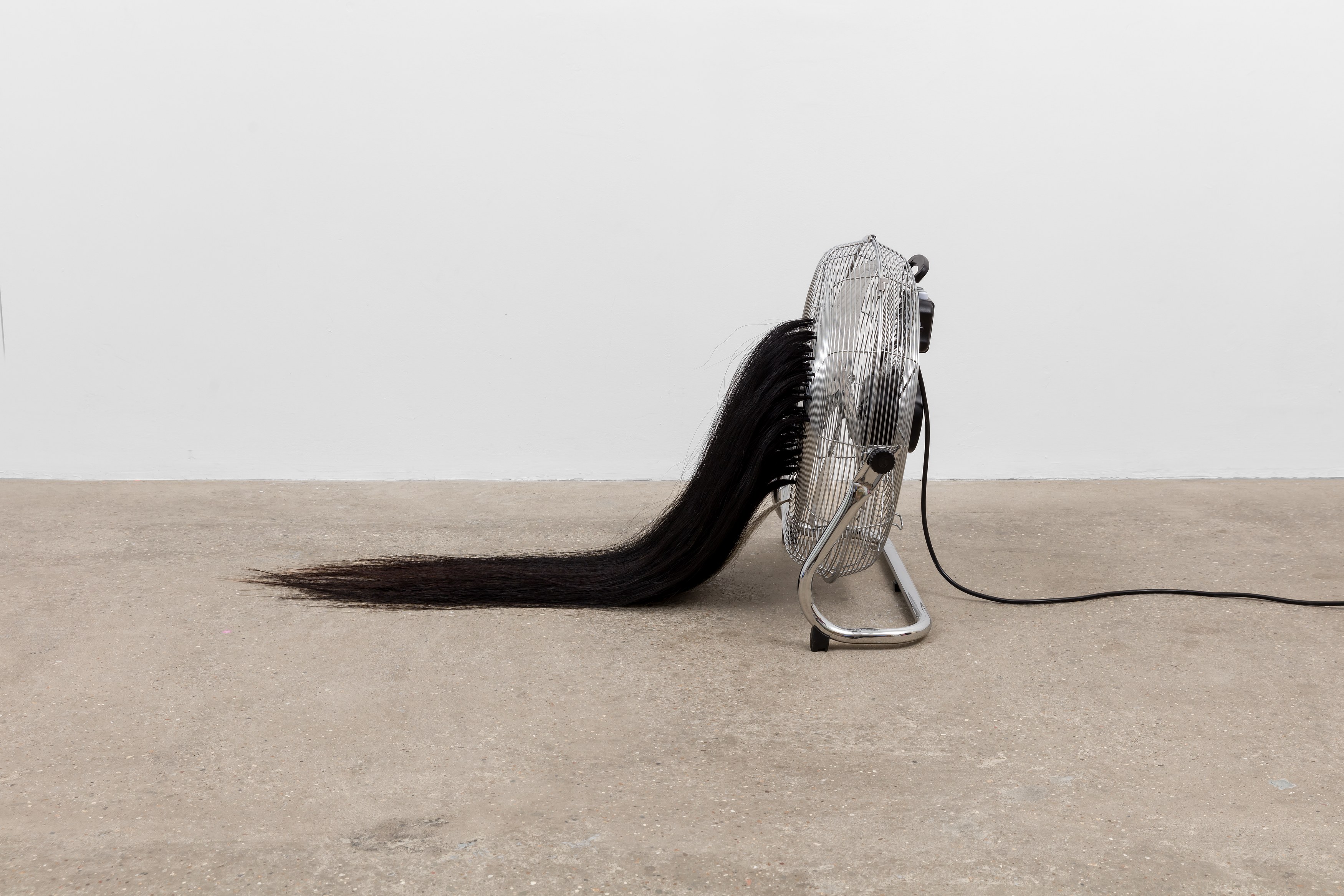 Amanda Moström, Douglas at Rose Easton, photo 31
