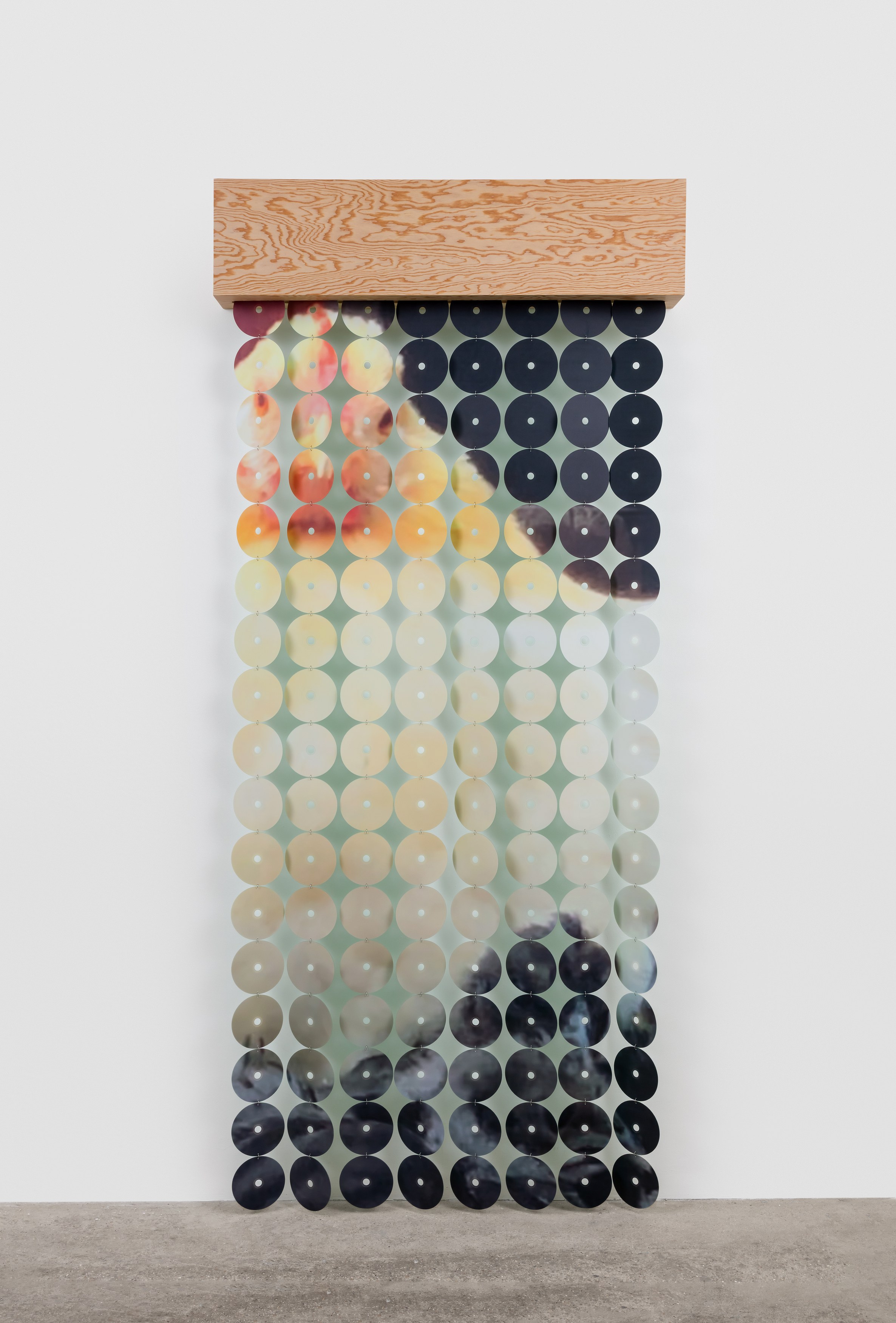 Amanda Moström, Douglas at Rose Easton, photo 35
