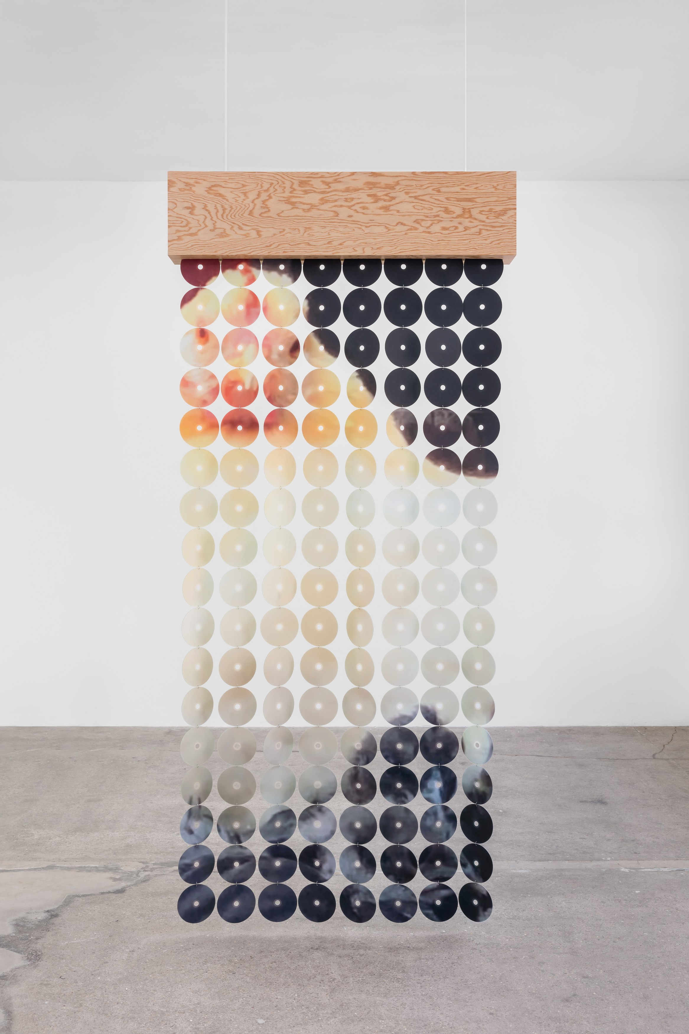 Amanda Moström, Douglas at Rose Easton, photo 40