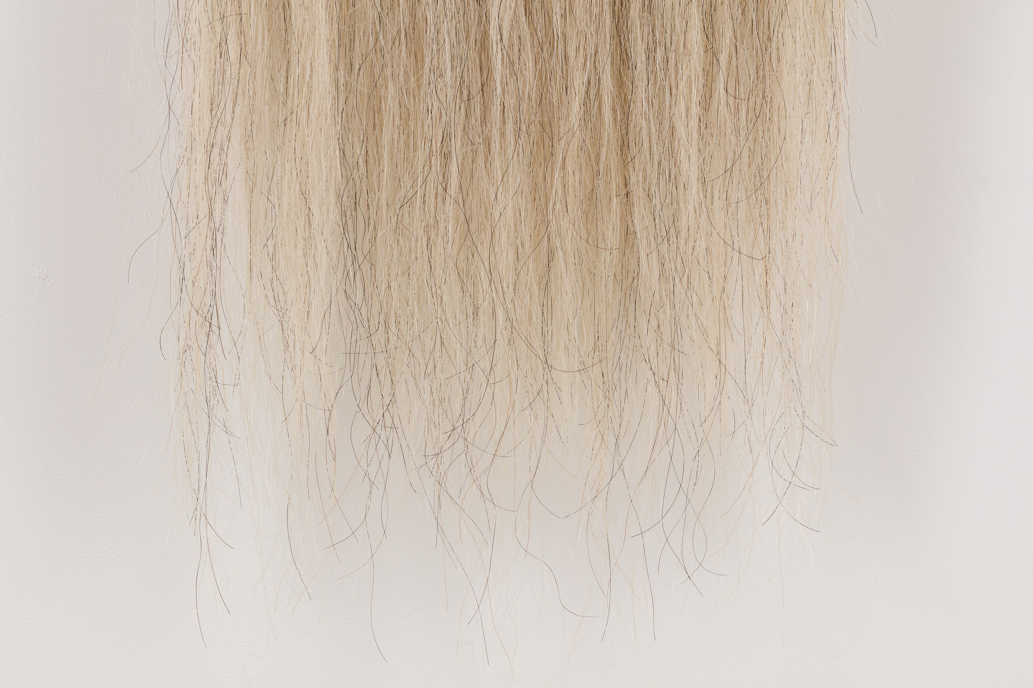 Amanda Moström, Douglas at Rose Easton, photo 67