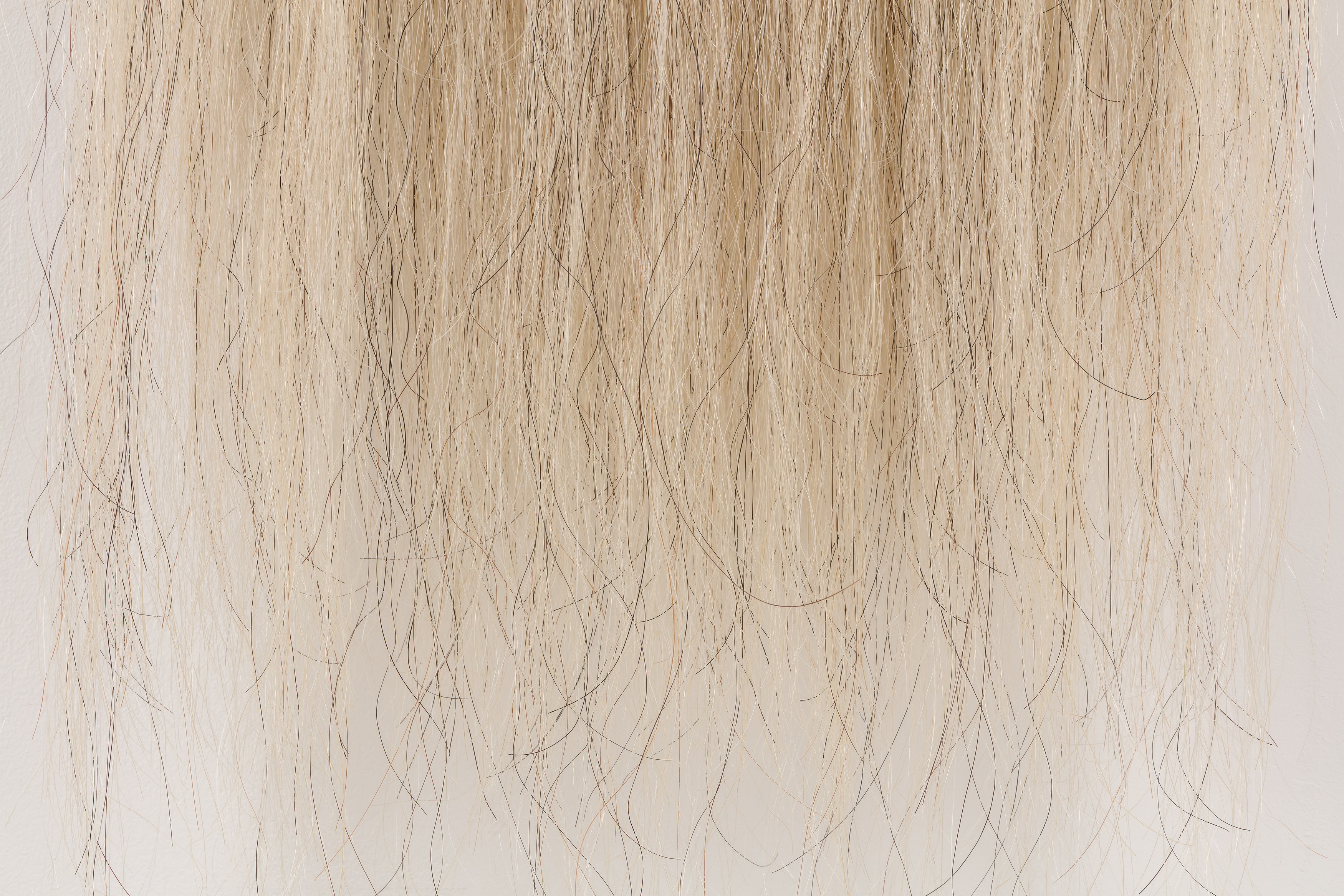 Amanda Moström, Douglas at Rose Easton, photo 68