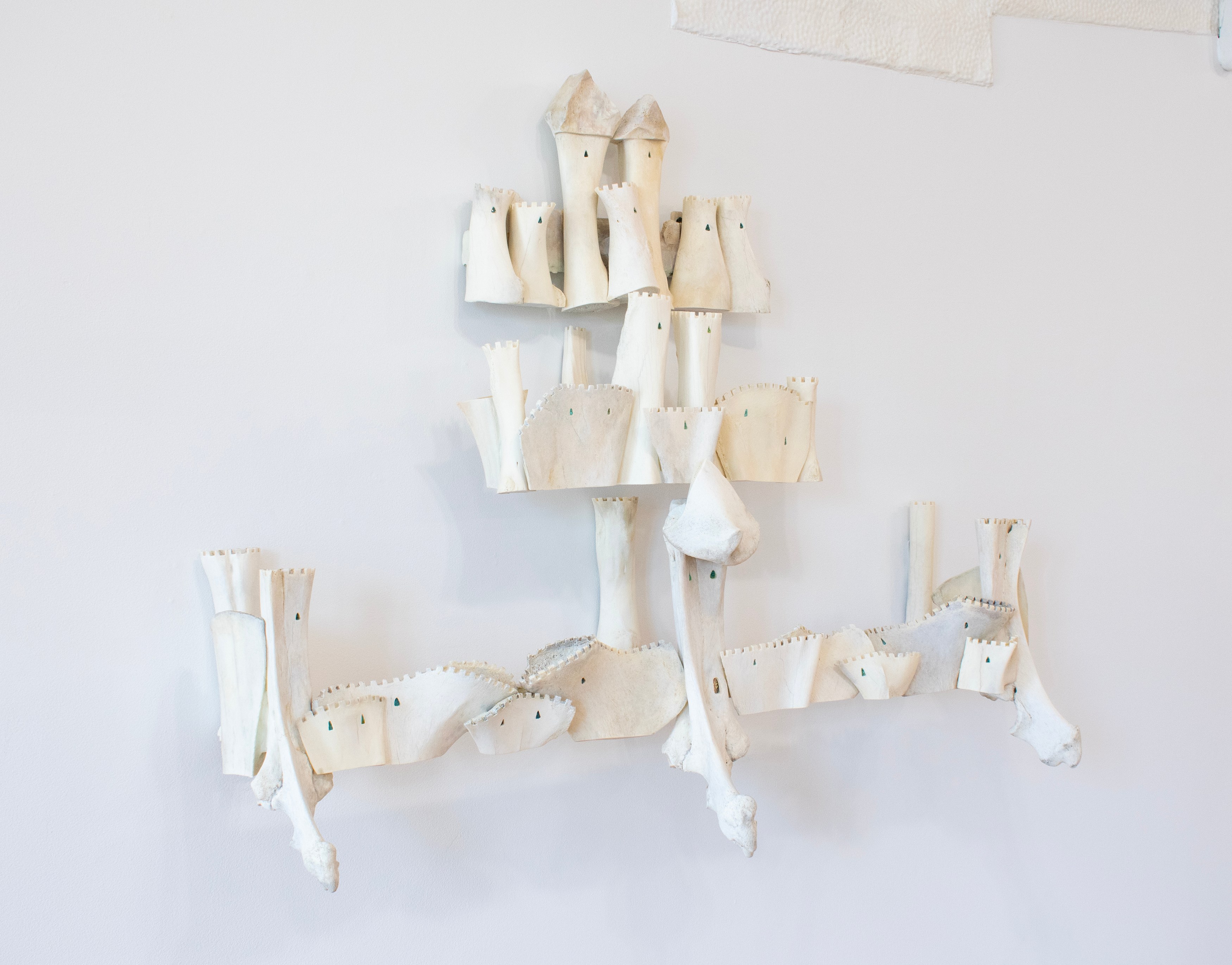 Celia Eberle, image 17 of 27