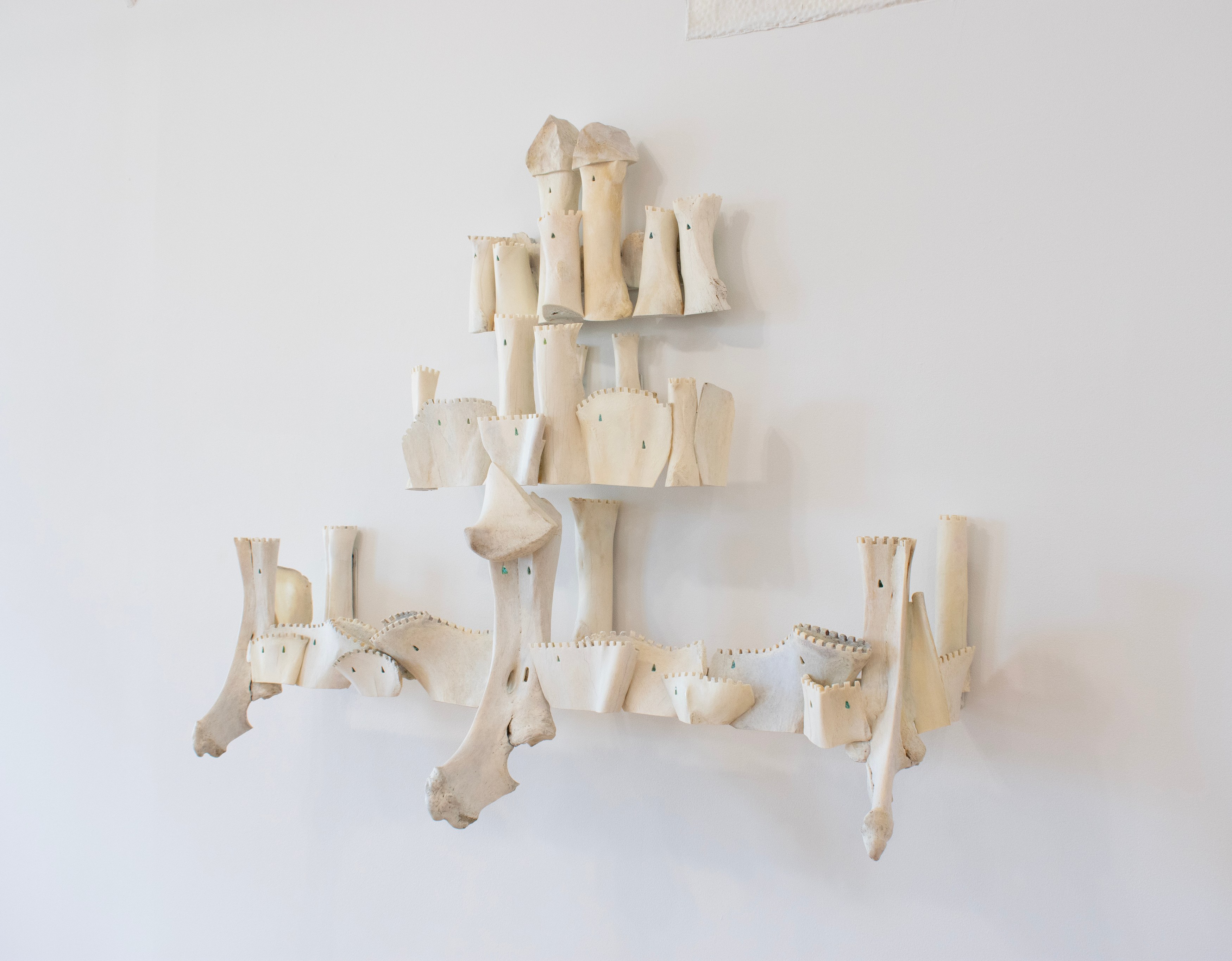 Celia Eberle, image 18 of 27