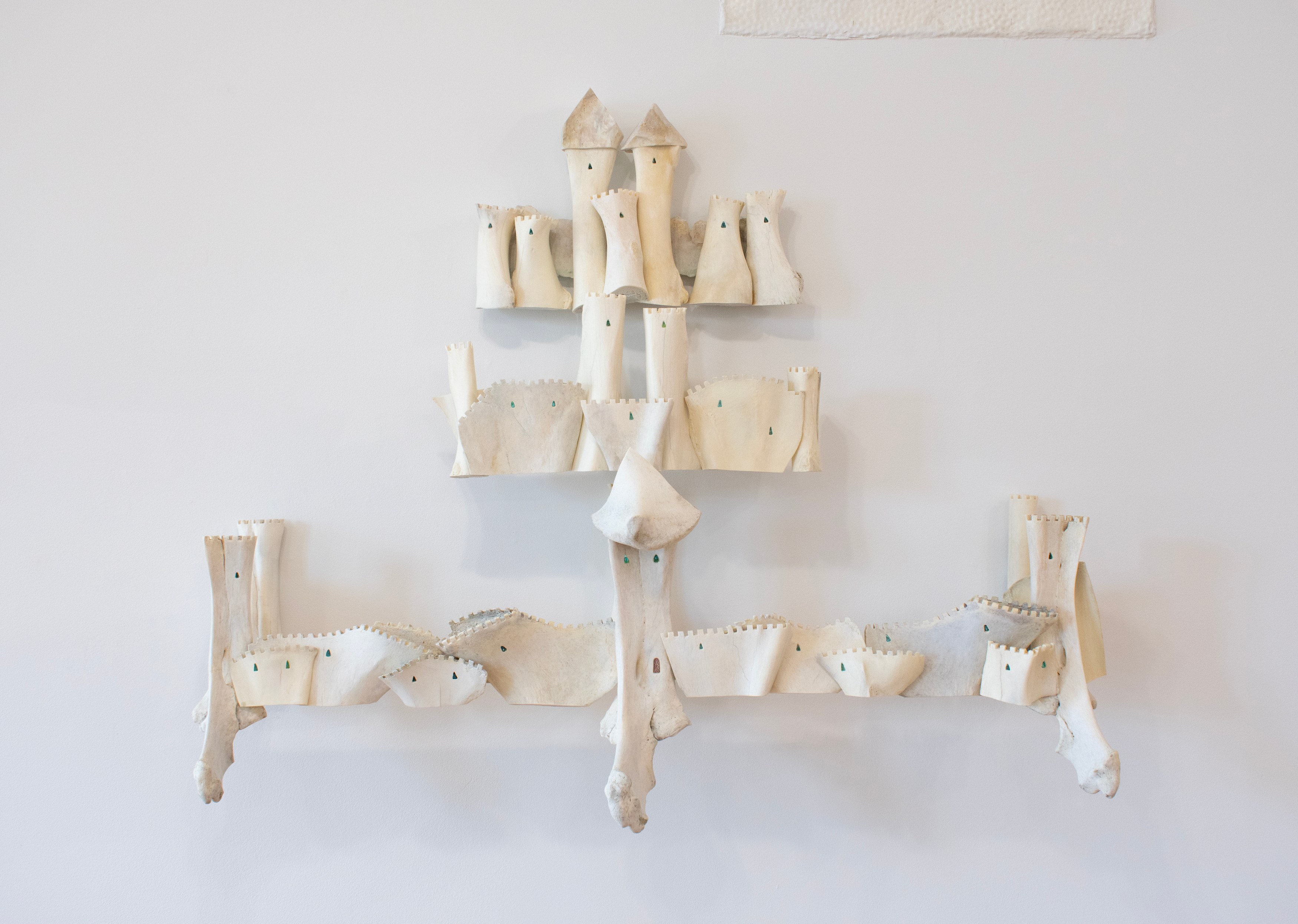 Celia Eberle, image 19 of 27