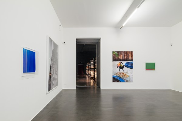 Wolfgang Tillmans at Albertinum, Dresden | Contemporary Art