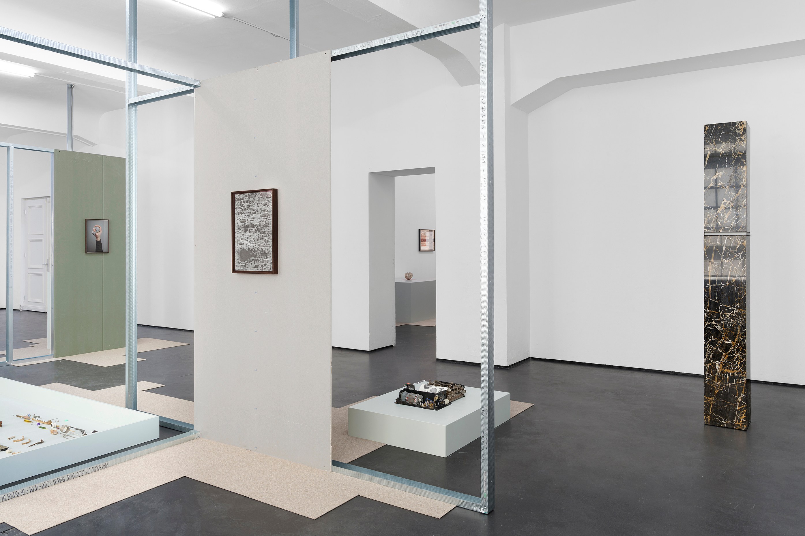 Nicolás Lamas, fluid minds at max goelitz, photo 2