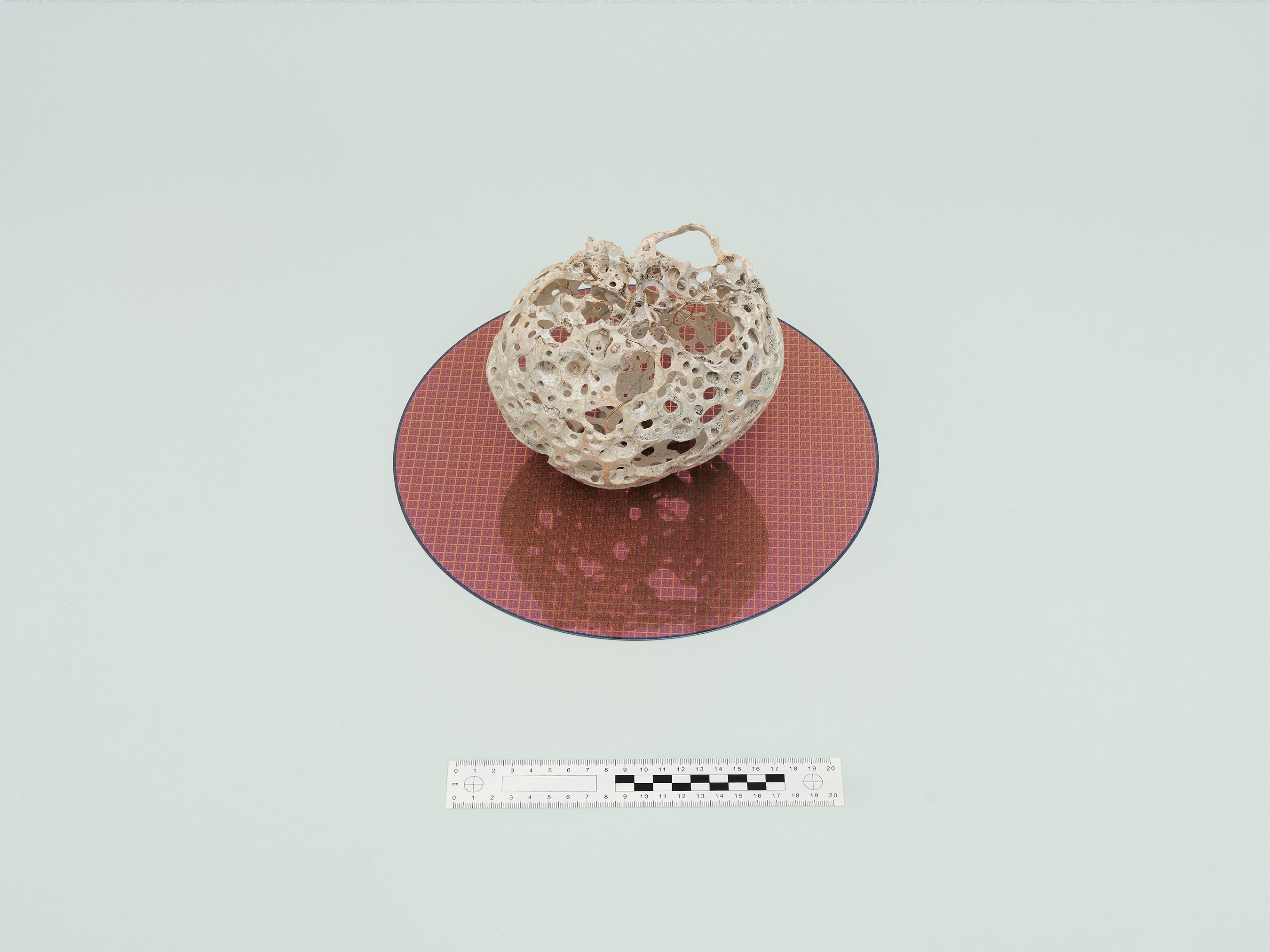 Nicolás Lamas, fluid minds at max goelitz, photo 8
