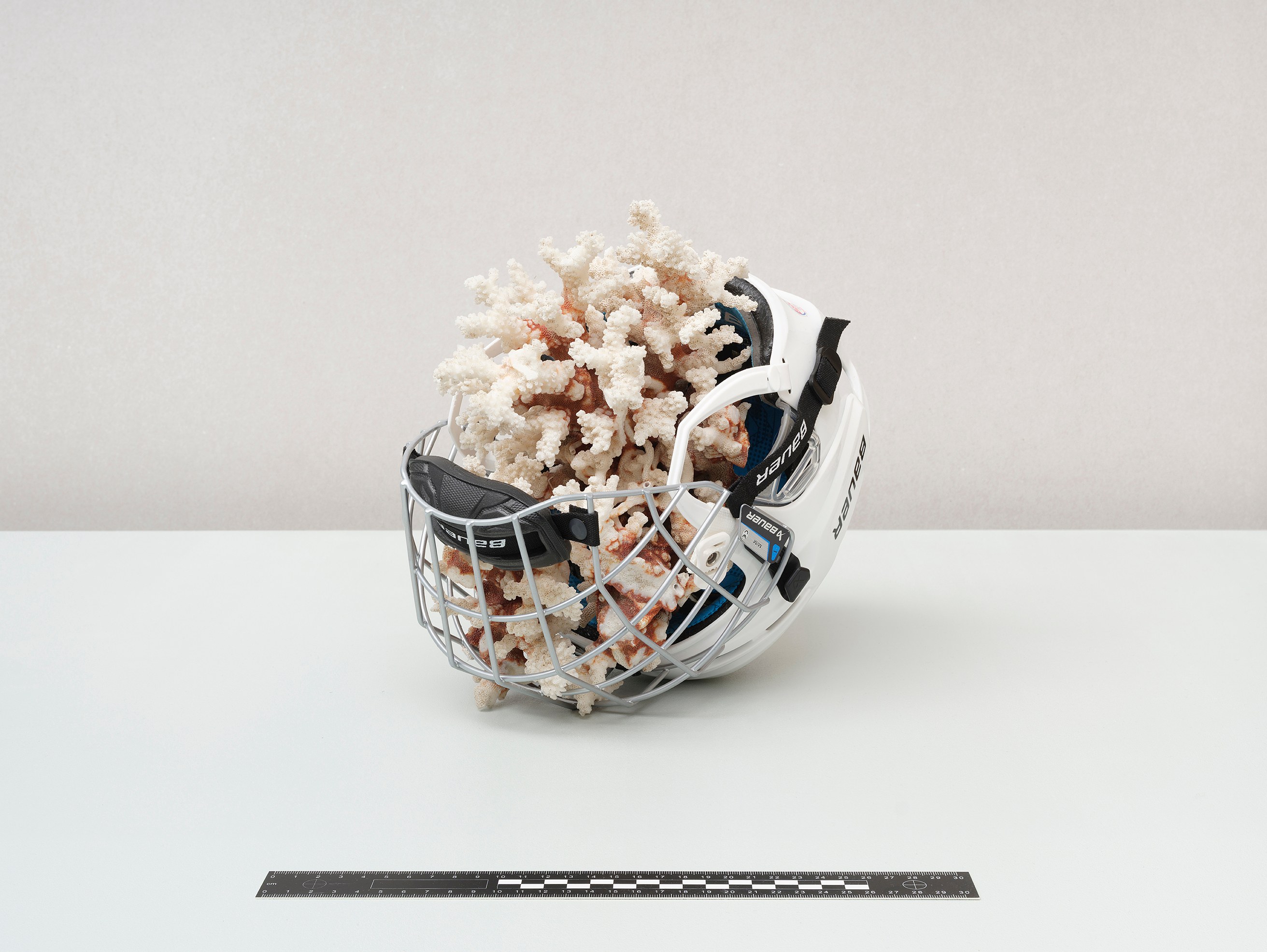 Nicolás Lamas, fluid minds at max goelitz, photo 9