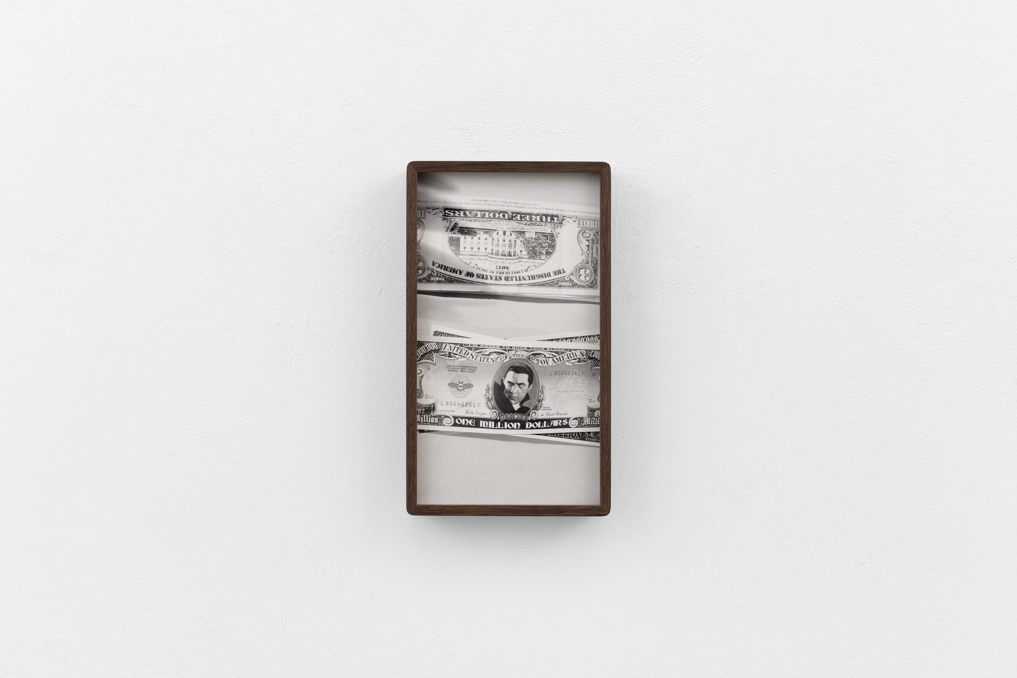 Megan Plunkett, The Already World at Sweetwater, photo 28