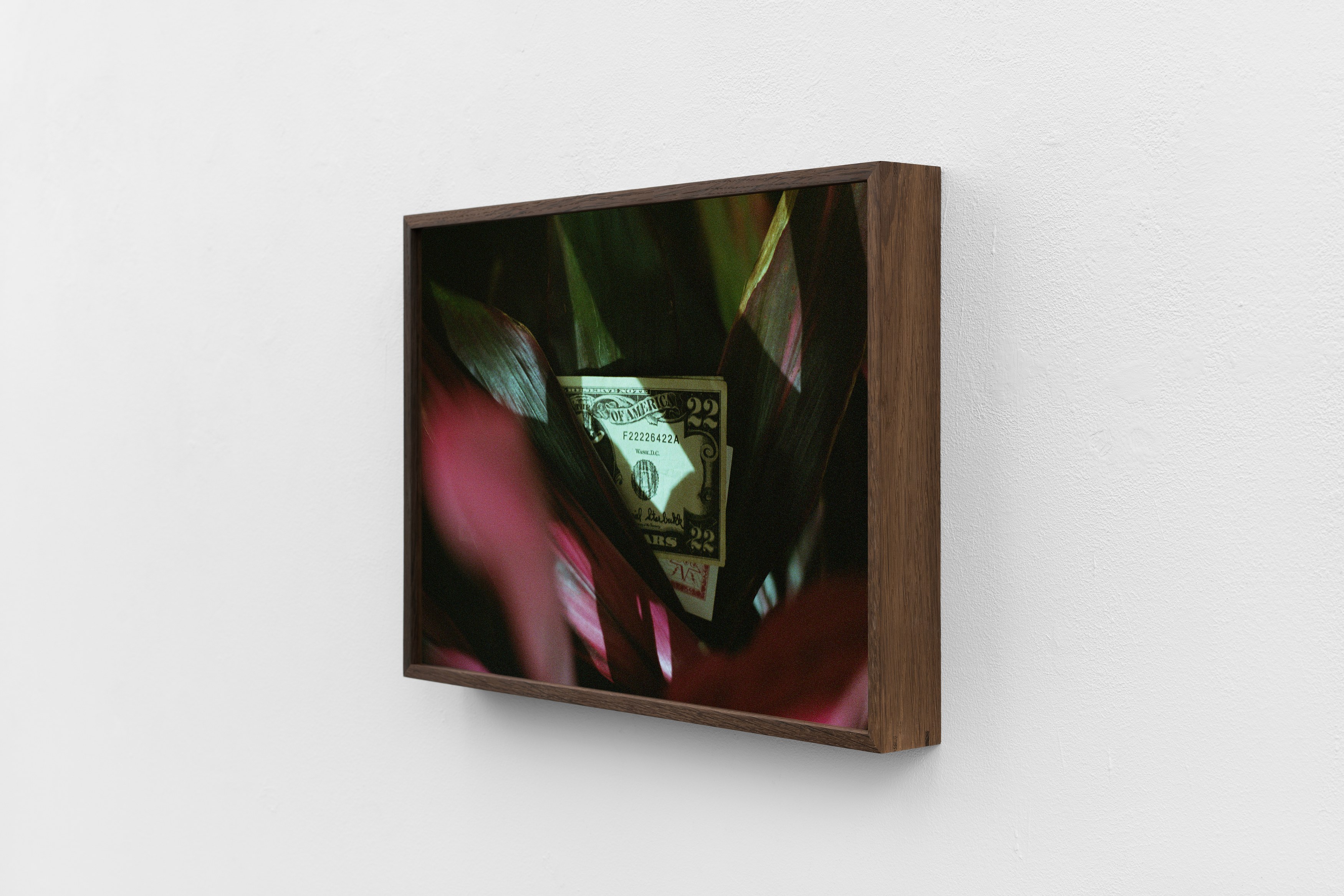Megan Plunkett, The Already World at Sweetwater, photo 29