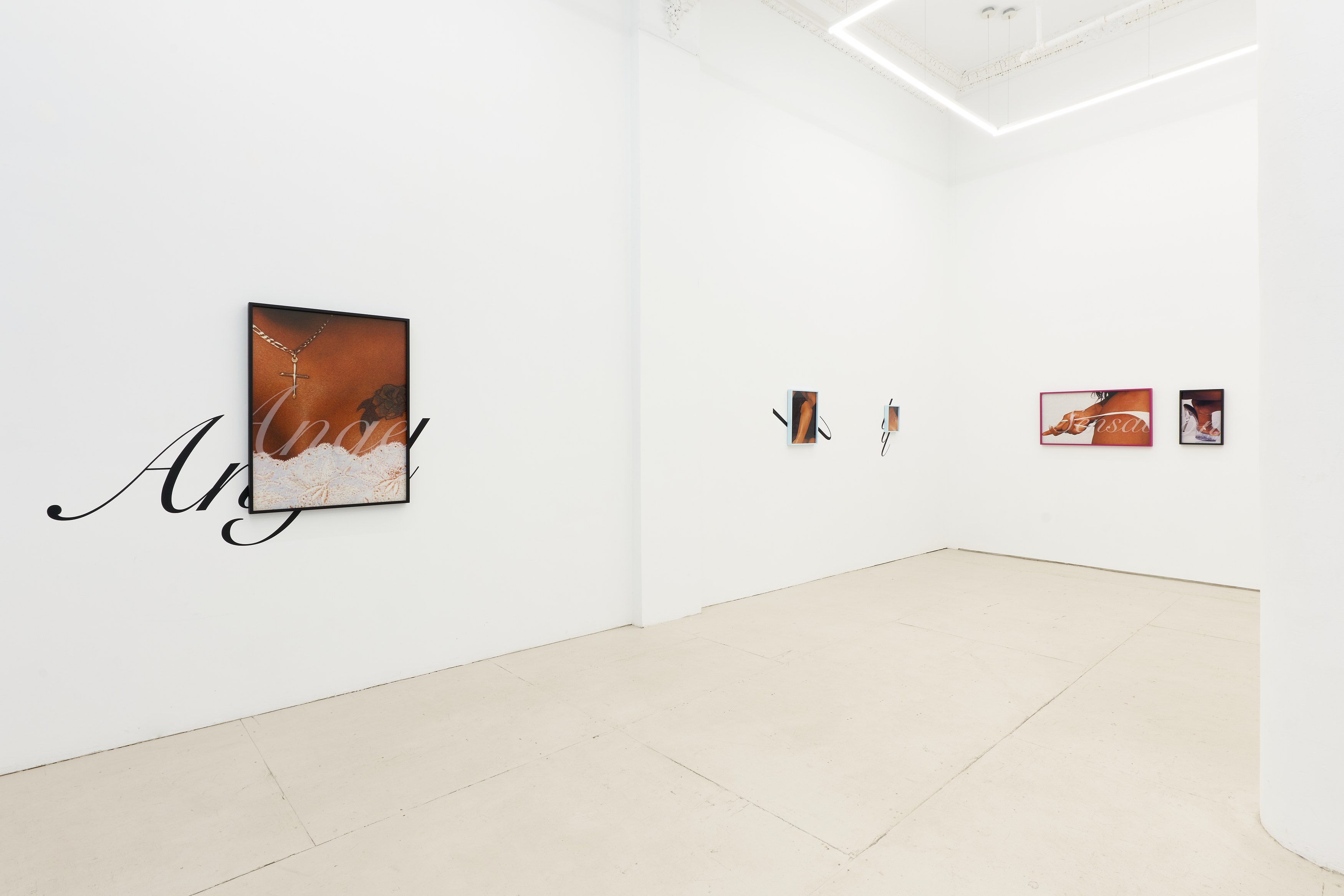 Karice Mitchell, Economy of Pleasure at Silke Lindner, photo 2