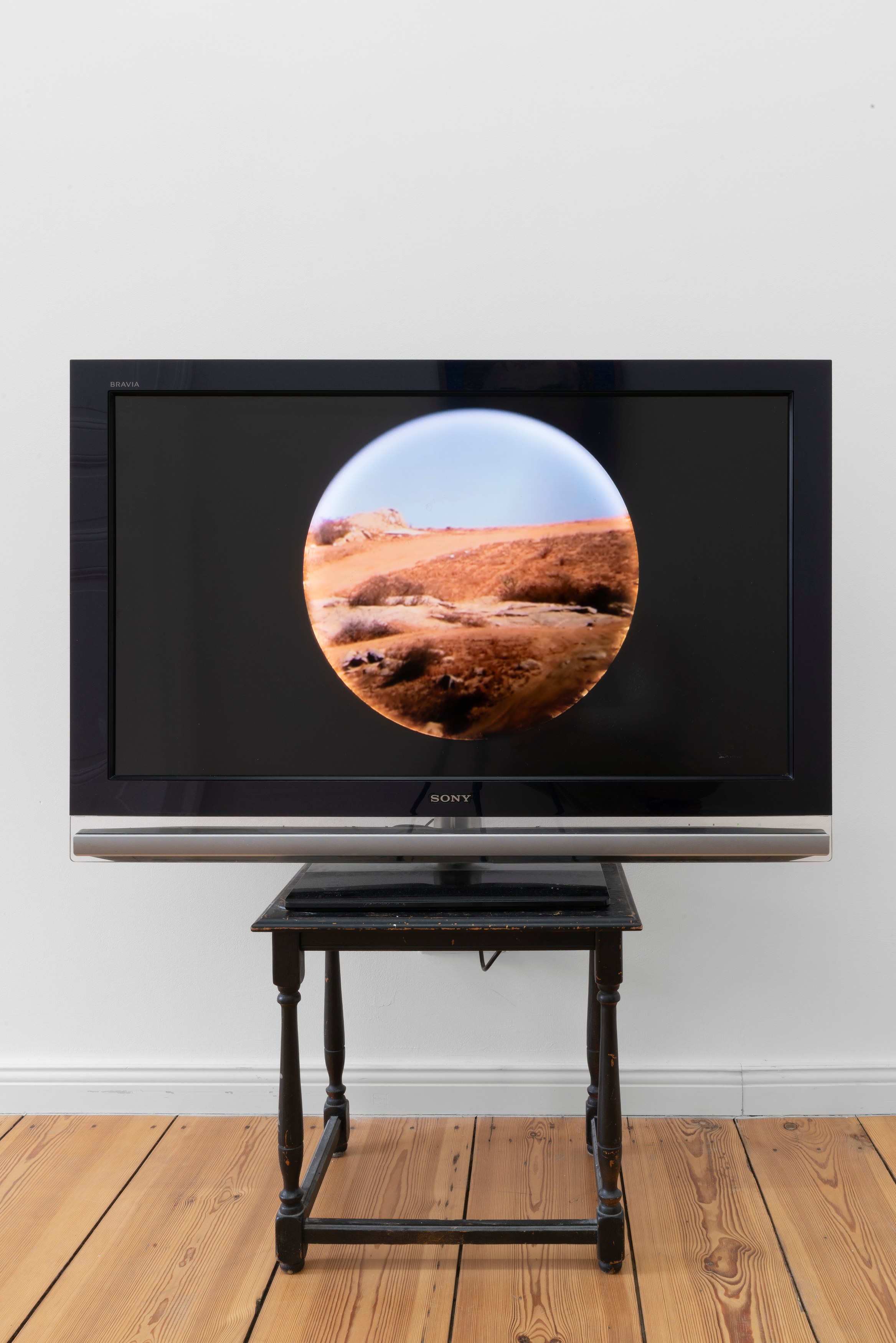 Matthew Wilkinson, Ubik at Zyrland Zoiropa, photo 6