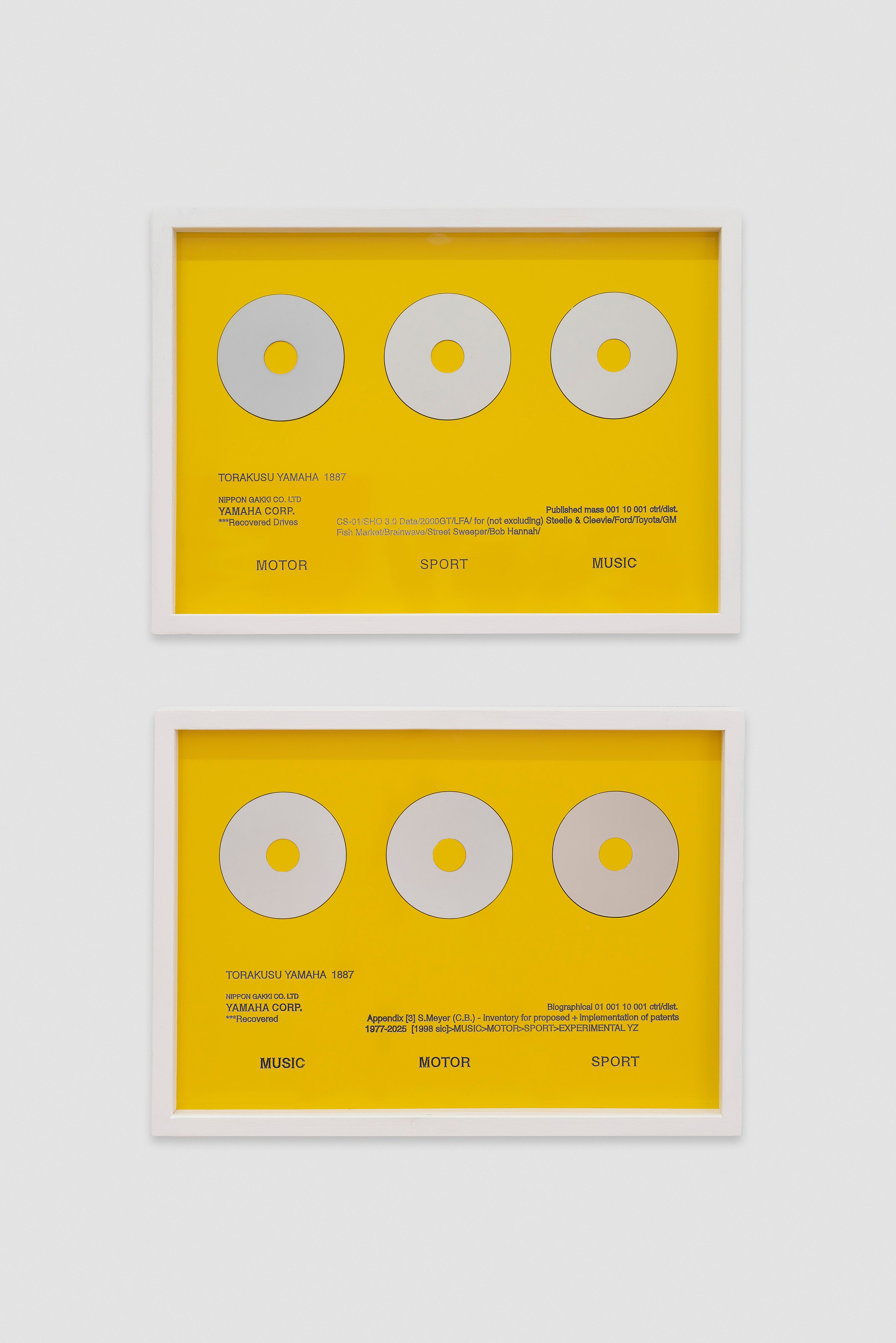 Matthew Wilkinson, Ubik at Zyrland Zoiropa, photo 14