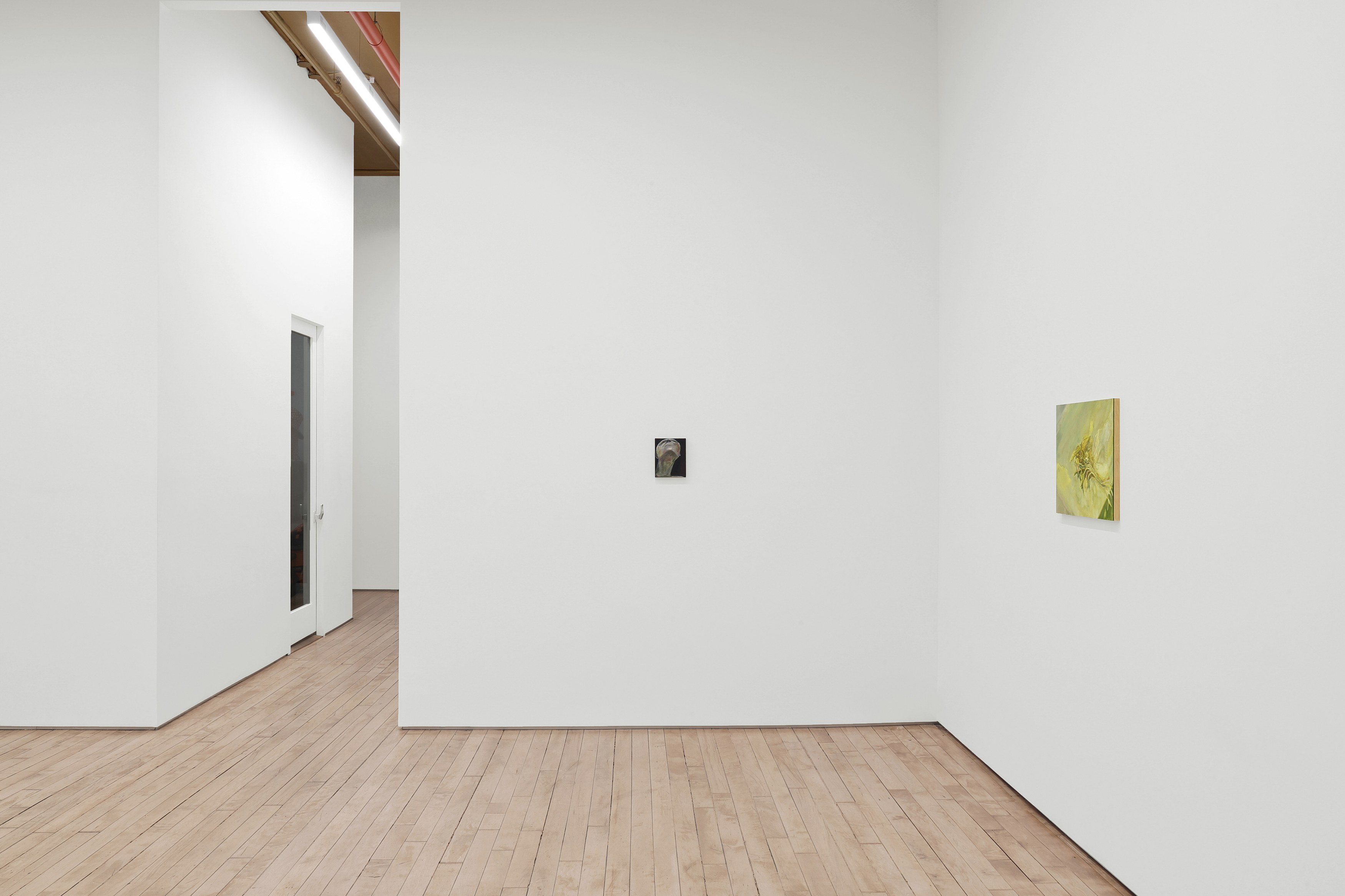 Lexia Hachtmann, Waiting Room at YveYANG Gallery, photo 8